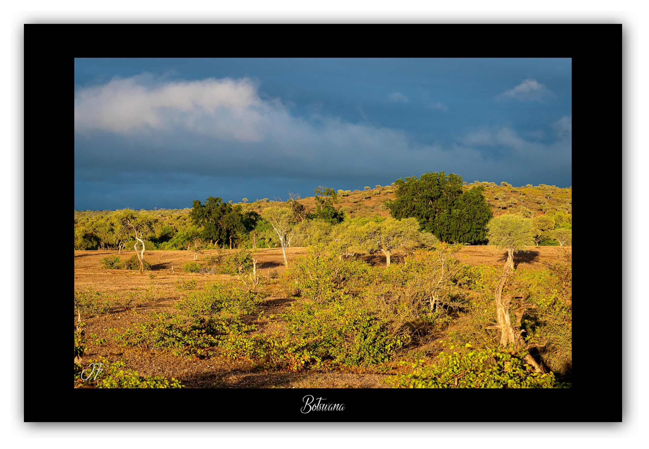 Poster Savane - Botswana (Afrique Australe). Affiches Formats 30x40 cm, 40x60 cm, 50x70 cm. Impression sur Papier Photo. Décoration murale. Paysage. Animaux sauvages.
