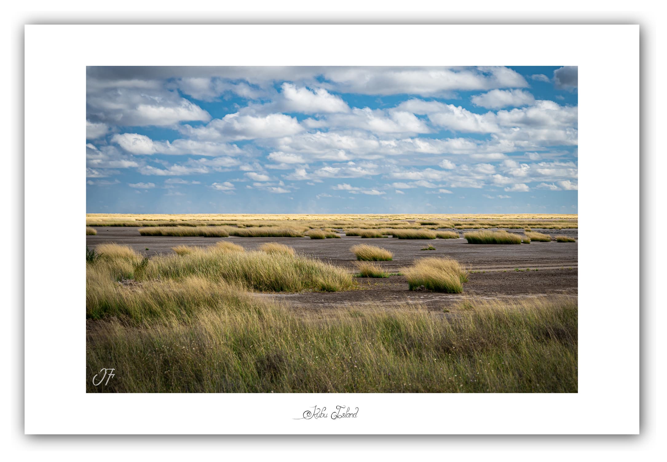 Poster Kubu Island - Botswana (Afrique Australe). Affiches Formats 30x40 cm, 40x60 cm, 50x70 cm. Impression sur Papier Photo. Décoration murale. Paysage. Animaux sauvages.