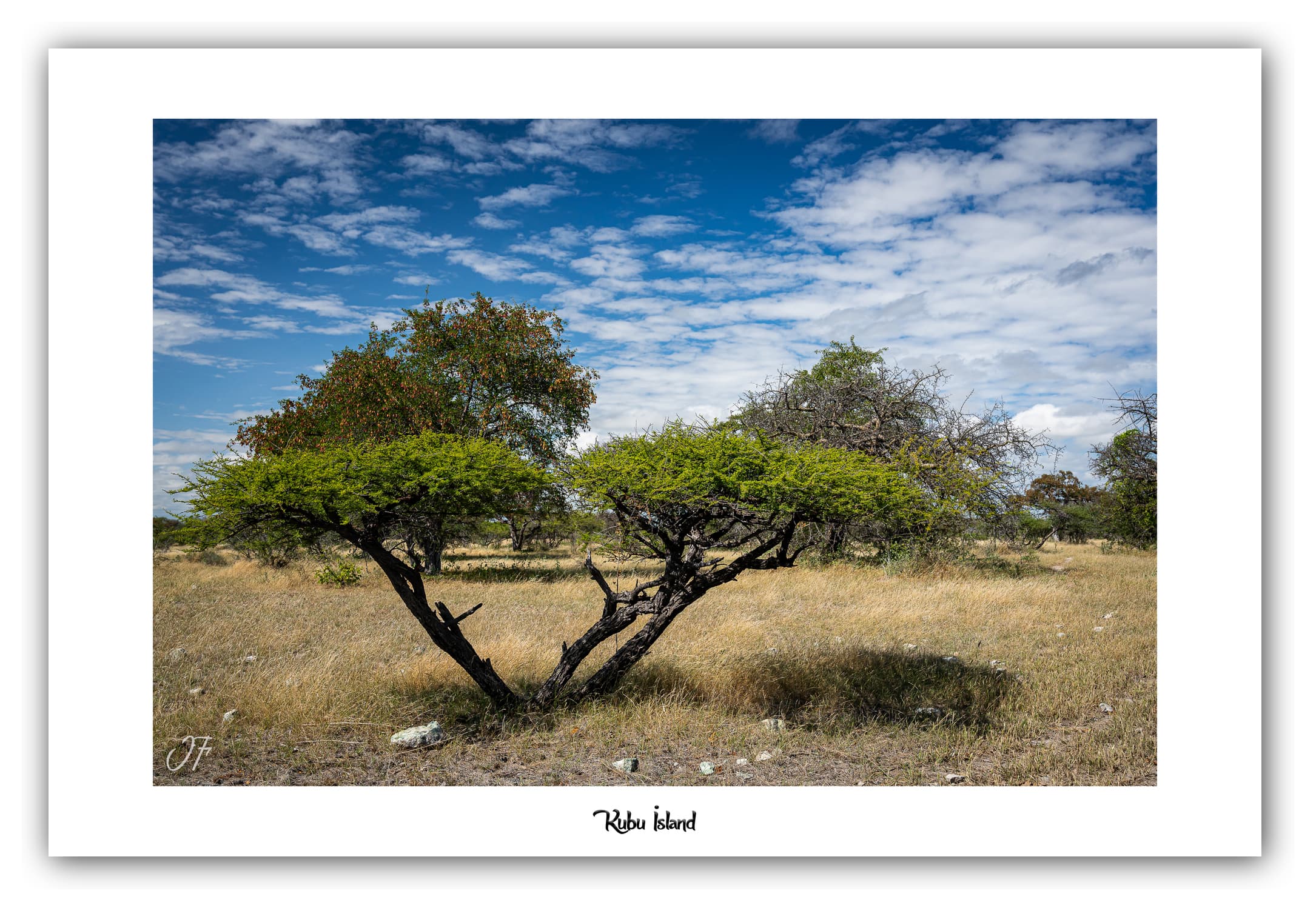 Poster Kubu Island - Botswana (Afrique Australe). Affiches Formats 30x40 cm, 40x60 cm, 50x70 cm. Impression sur Papier Photo. Décoration murale. Paysage. Animaux sauvages.