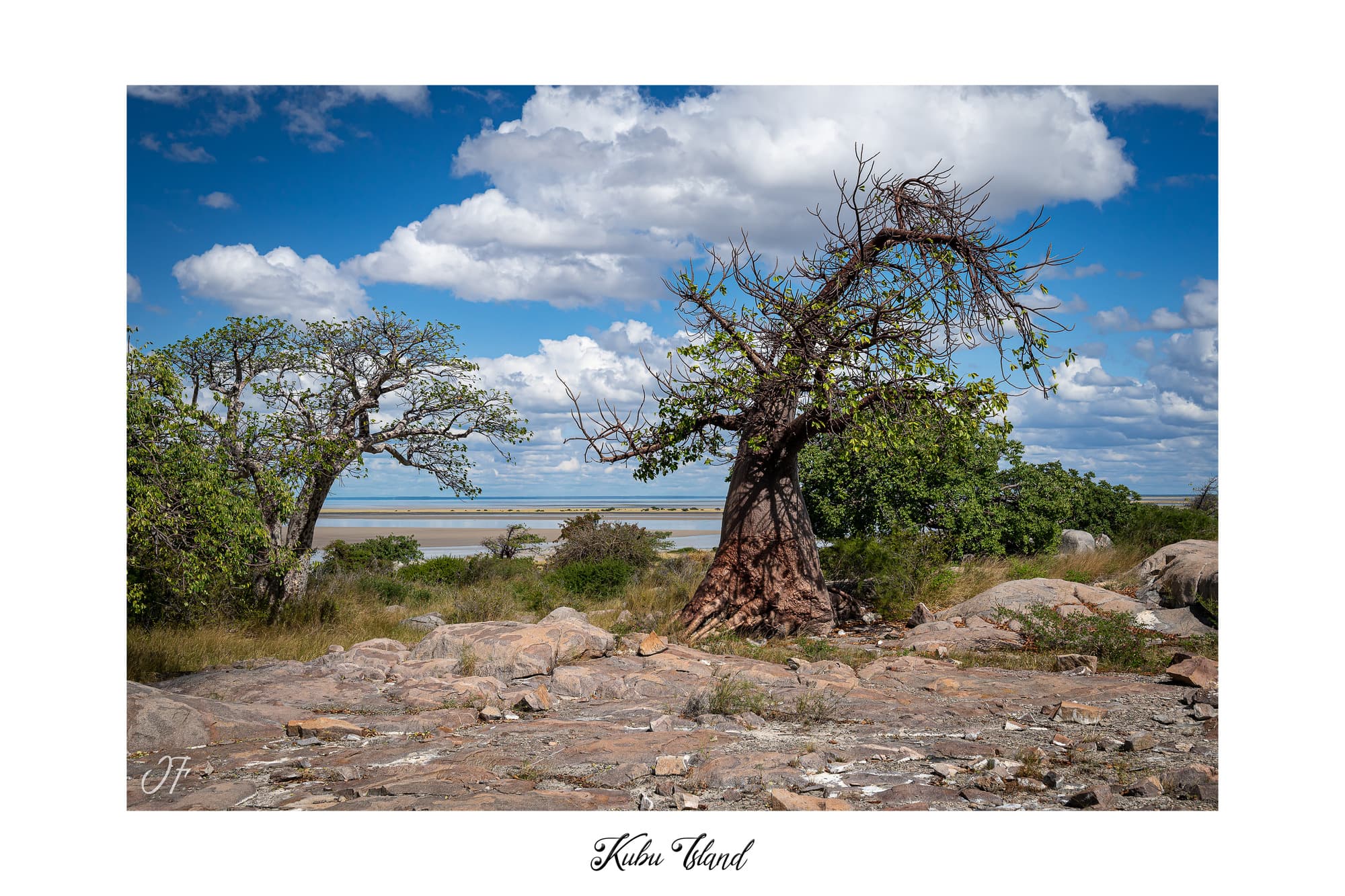 Poster Kubu Island - Botswana (Afrique Australe). Affiches Formats 30x40 cm, 40x60 cm, 50x70 cm. Impression sur Papier Photo. Décoration murale. Paysage. Animaux sauvages.