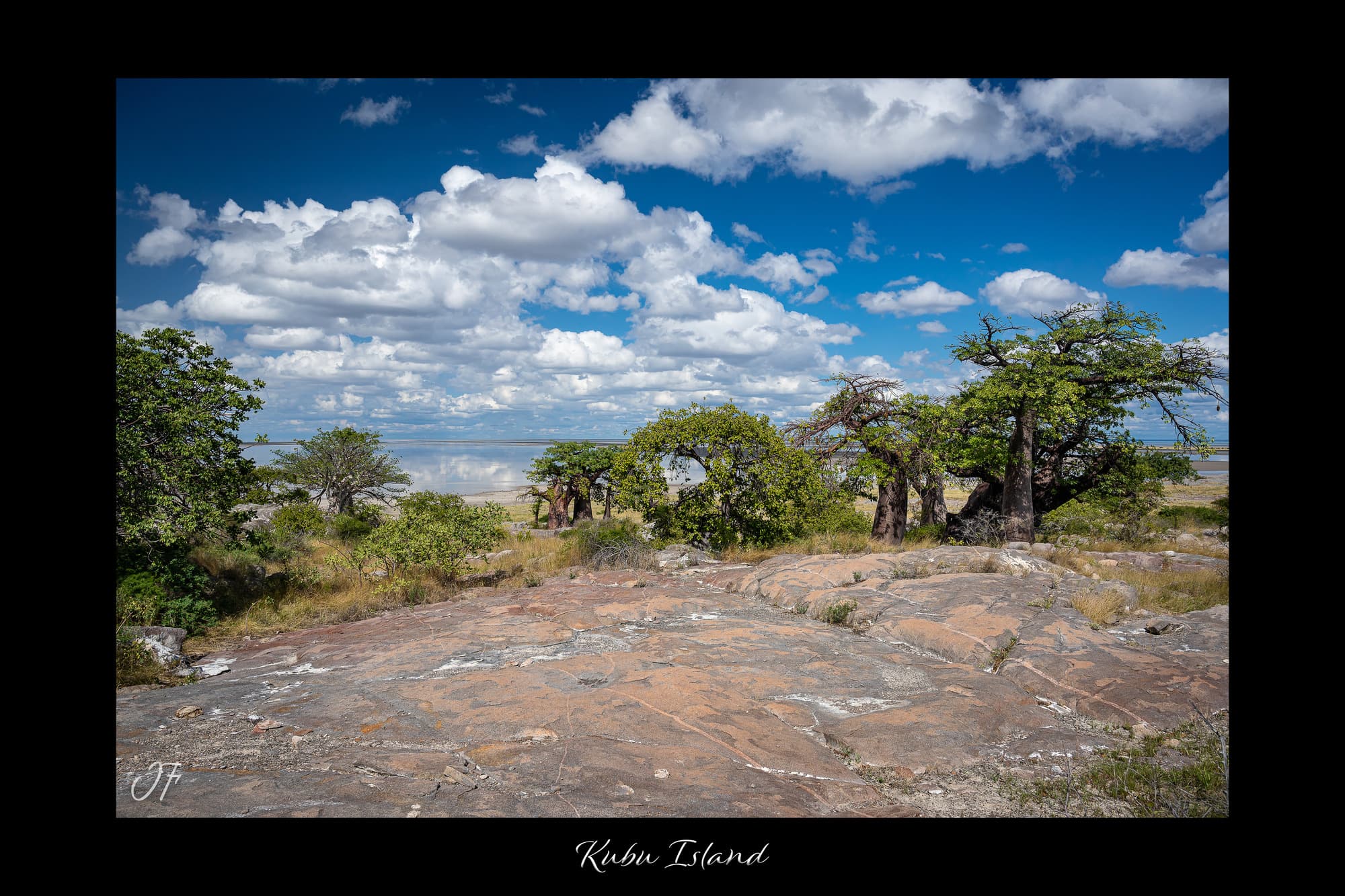Poster Kubu Island - Botswana (Afrique Australe). Affiches Formats 30x40 cm, 40x60 cm, 50x70 cm. Impression sur Papier Photo. Décoration murale. Paysage. Animaux sauvages.