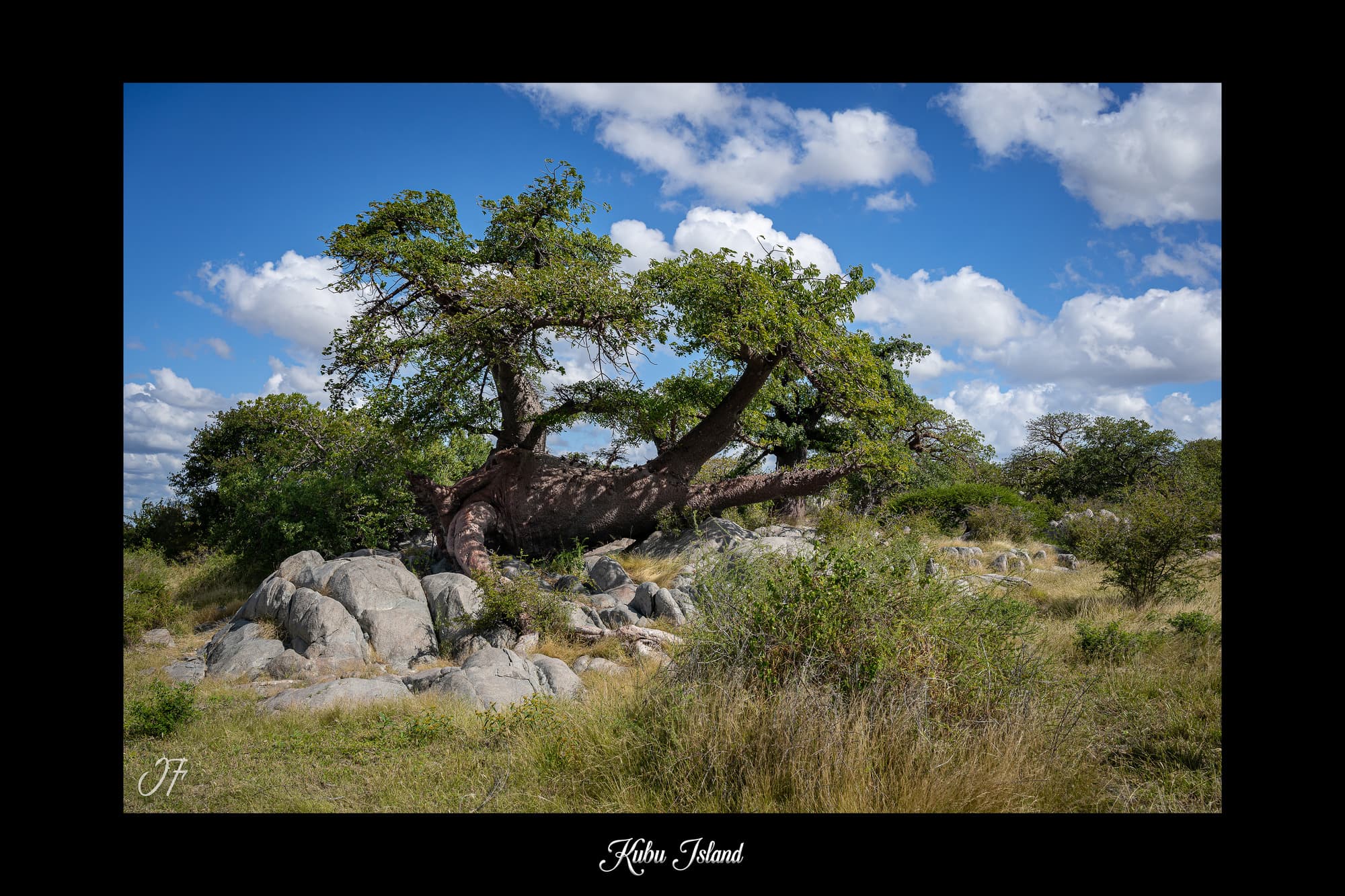 Poster Kubu Island - Botswana (Afrique Australe). Affiches Formats 30x40 cm, 40x60 cm, 50x70 cm. Impression sur Papier Photo. Décoration murale. Paysage. Animaux sauvages.