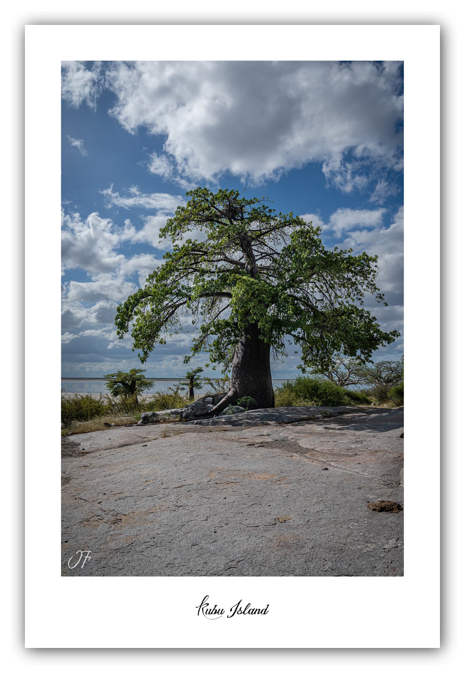 Poster Kubu Island - Botswana (Afrique Australe). Affiches Formats 30x40 cm, 40x60 cm, 50x70 cm. Impression sur Papier Photo. Décoration murale. Paysage. Animaux sauvages.