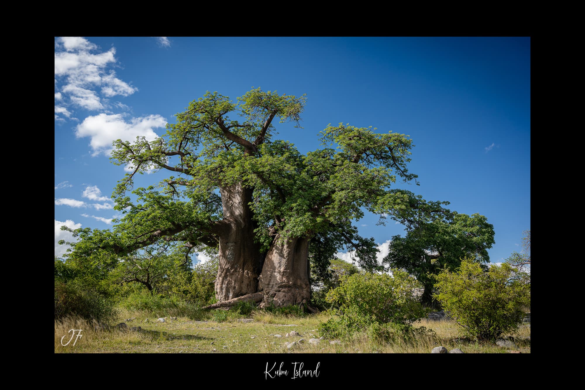 Poster Kubu Island - Botswana (Afrique Australe). Affiches Formats 30x40 cm, 40x60 cm, 50x70 cm. Impression sur Papier Photo. Décoration murale. Paysage. Animaux sauvages.