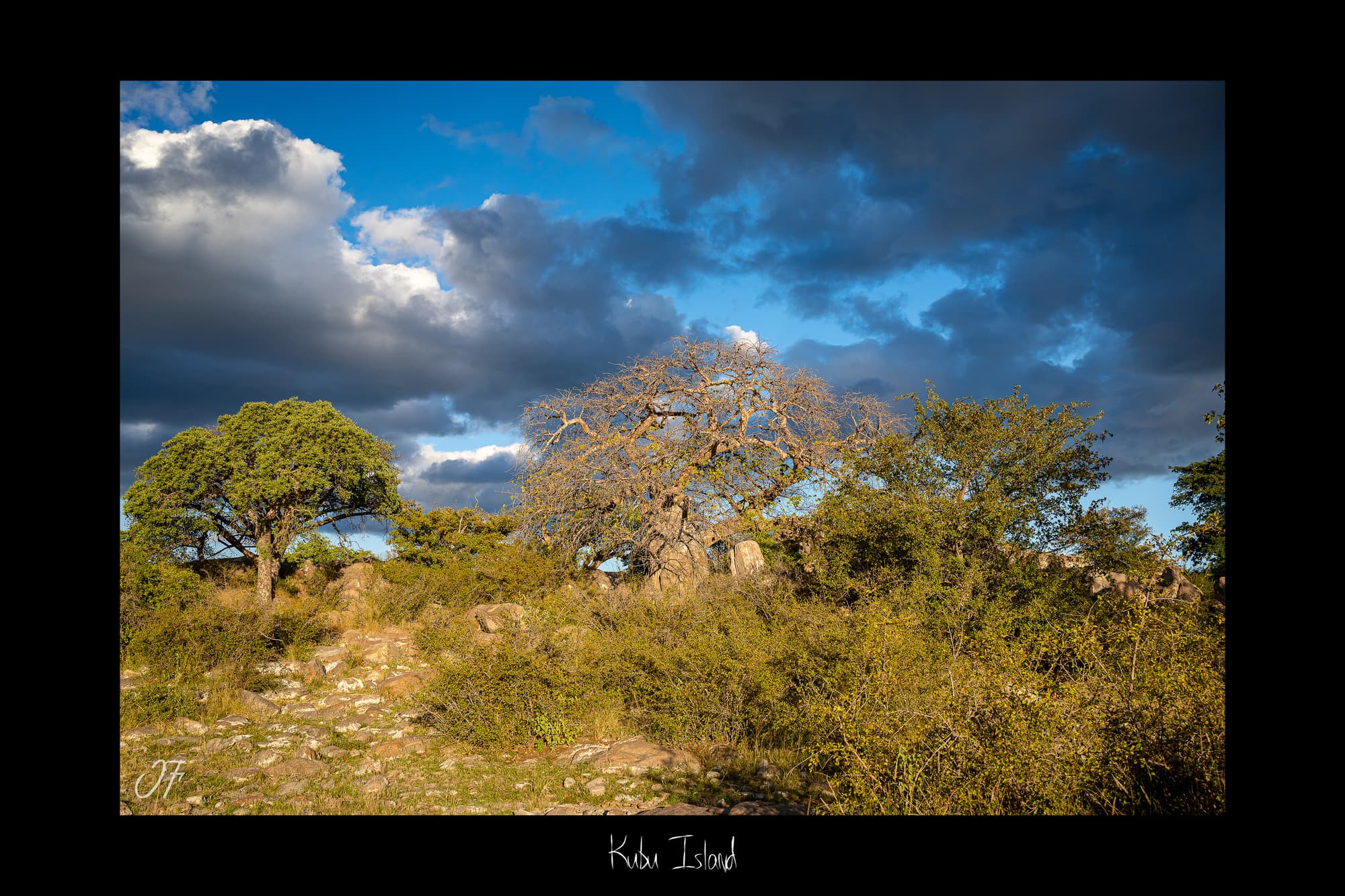 Poster Kubu Island - Botswana (Afrique Australe). Affiches Formats 30x40 cm, 40x60 cm, 50x70 cm. Impression sur Papier Photo. Décoration murale. Paysage. Animaux sauvages.