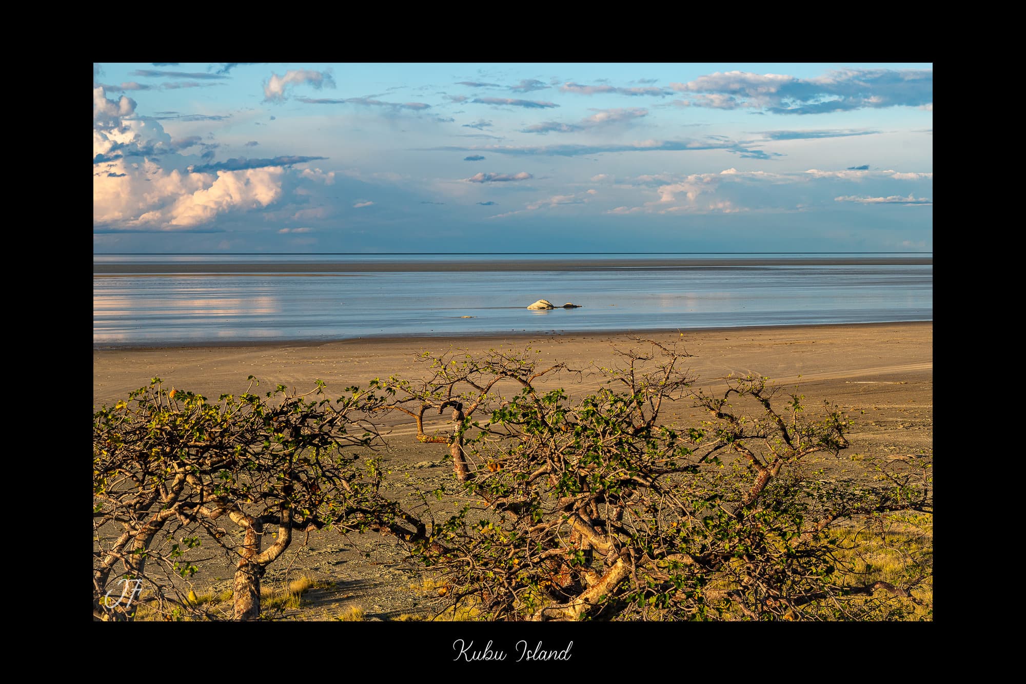 Poster Kubu Island - Botswana (Afrique Australe). Affiches Formats 30x40 cm, 40x60 cm, 50x70 cm. Impression sur Papier Photo. Décoration murale. Paysage. Animaux sauvages.
