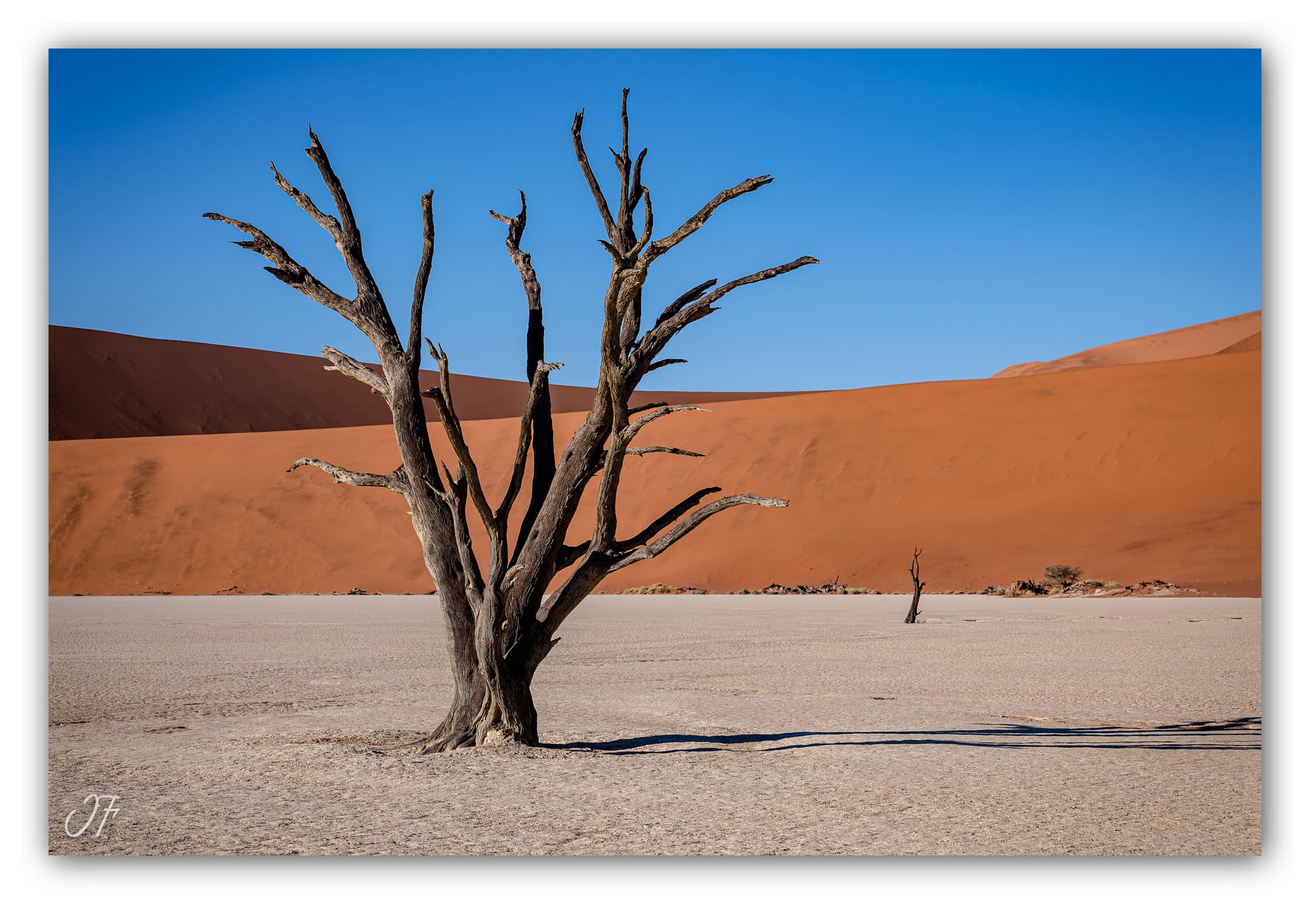 Poster Dead Vlei - Namibie (Afrique Australe). Affiches Formats 30x40 cm, 40x60 cm ou 50x70 cm. Impression sur Papier Photo. Décoration murale. Paysage. Désert.