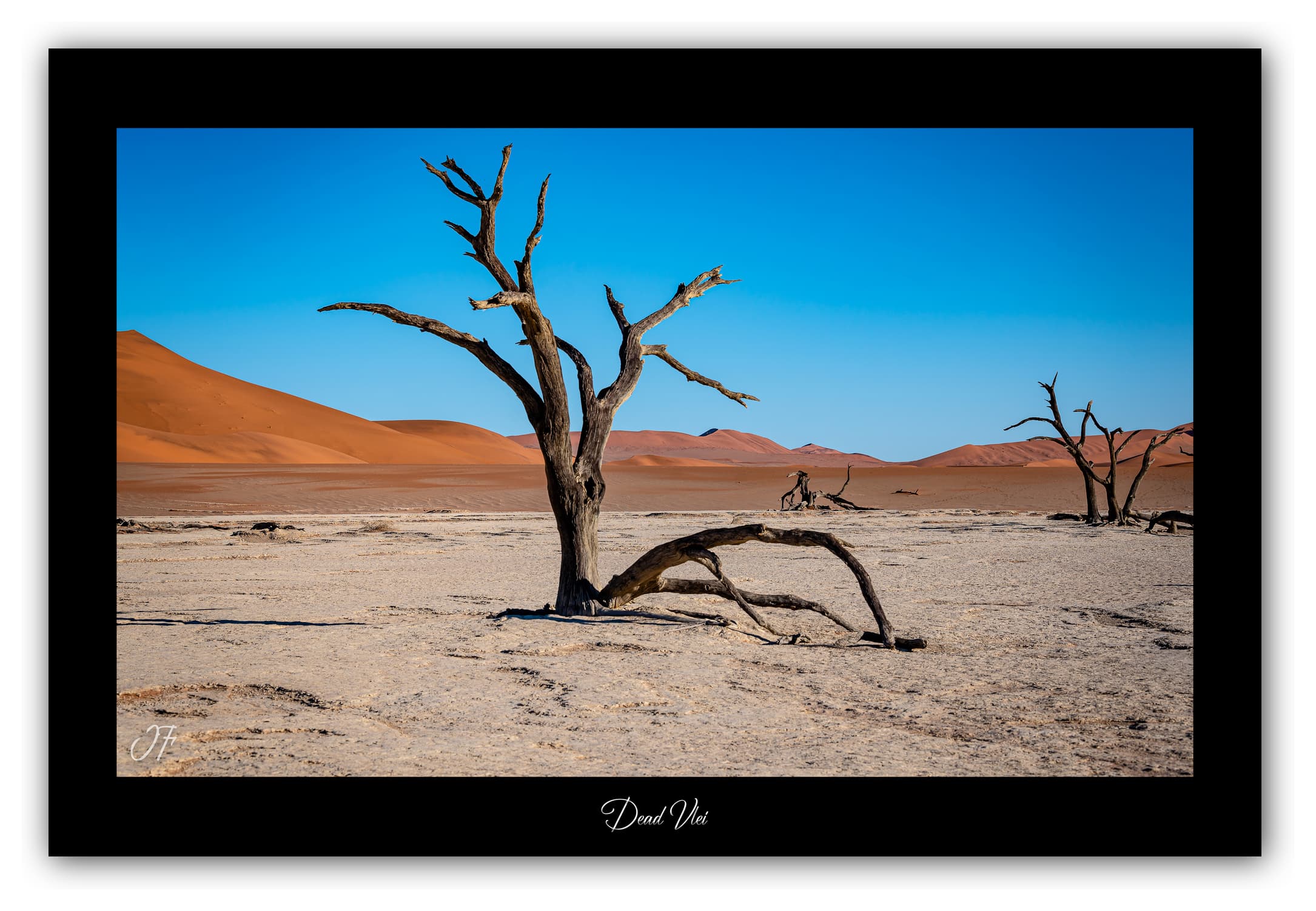 Poster Dead Vlei - Namibie (Afrique Australe). Affiches Formats 30x40 cm, 40x60 cm ou 50x70 cm. Impression sur Papier Photo. Décoration murale. Paysage. Désert.