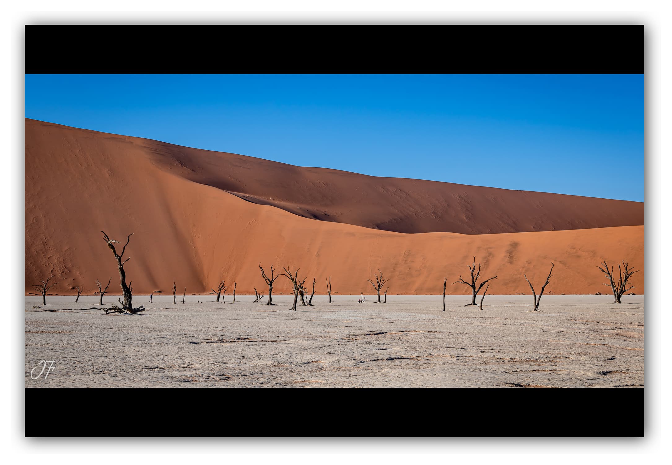 Poster Dead Vlei - Namibie (Afrique Australe). Affiches Formats 30x40 cm, 40x60 cm ou 50x70 cm. Impression sur Papier Photo. Décoration murale. Paysage. Désert.
