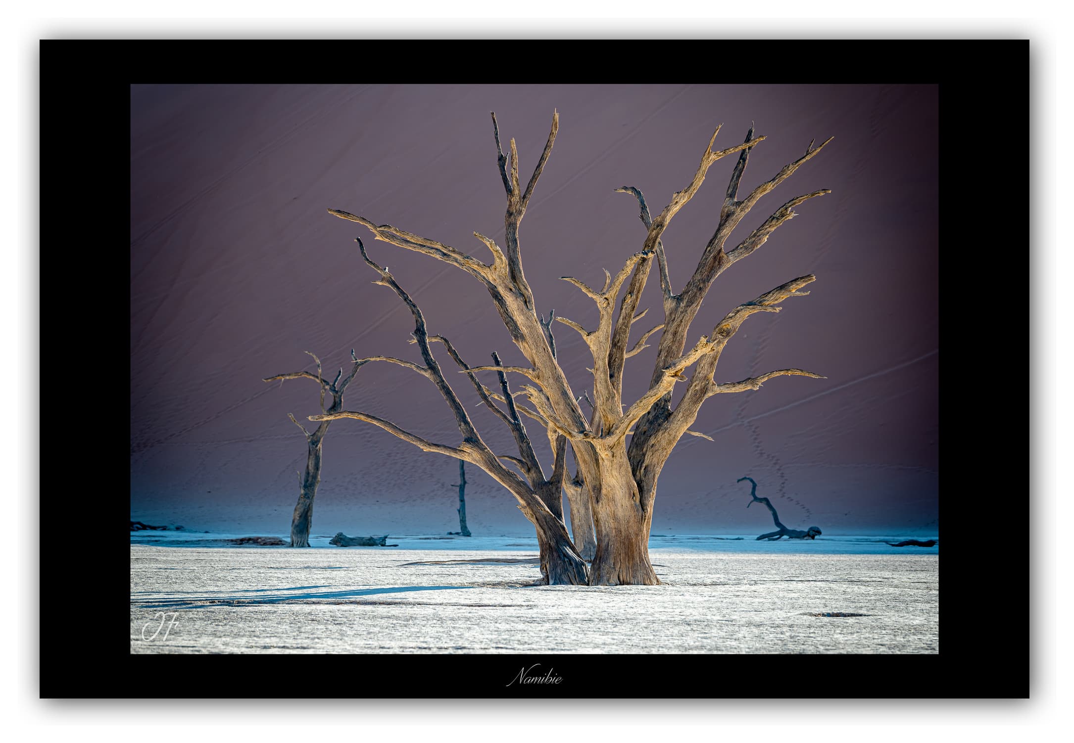 Poster Dead Vlei - Namibie (Afrique Australe). Affiches Formats 30x40 cm, 40x60 cm ou 50x70 cm. Impression sur Papier Photo. Décoration murale. Paysage. Désert.