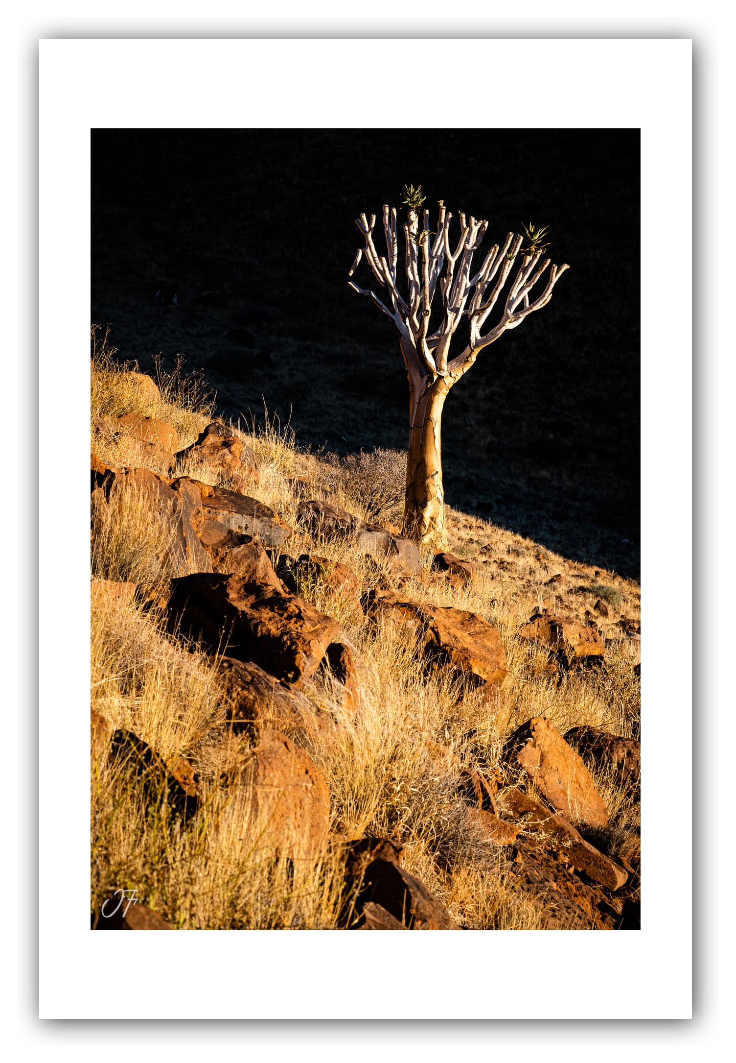 Poster Namibie (Afrique Australe). Affiches Formats 30x40 cm, 40x60 cm ou 50x70 cm. Impression sur Papier Photo. Décoration murale. Paysage. Désert.