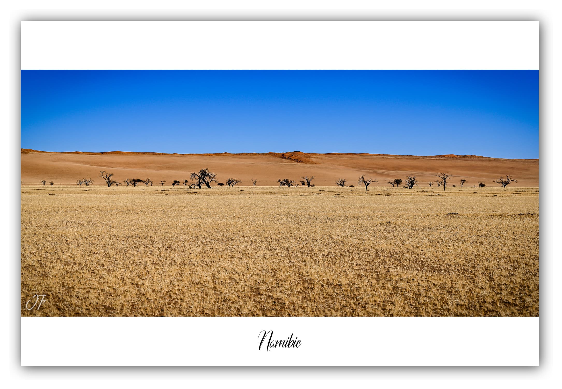 Poster Namibie (Afrique Australe). Affiches Formats 30x40 cm, 40x60 cm ou 50x70 cm. Impression sur Papier Photo. Décoration murale. Paysage. Désert.