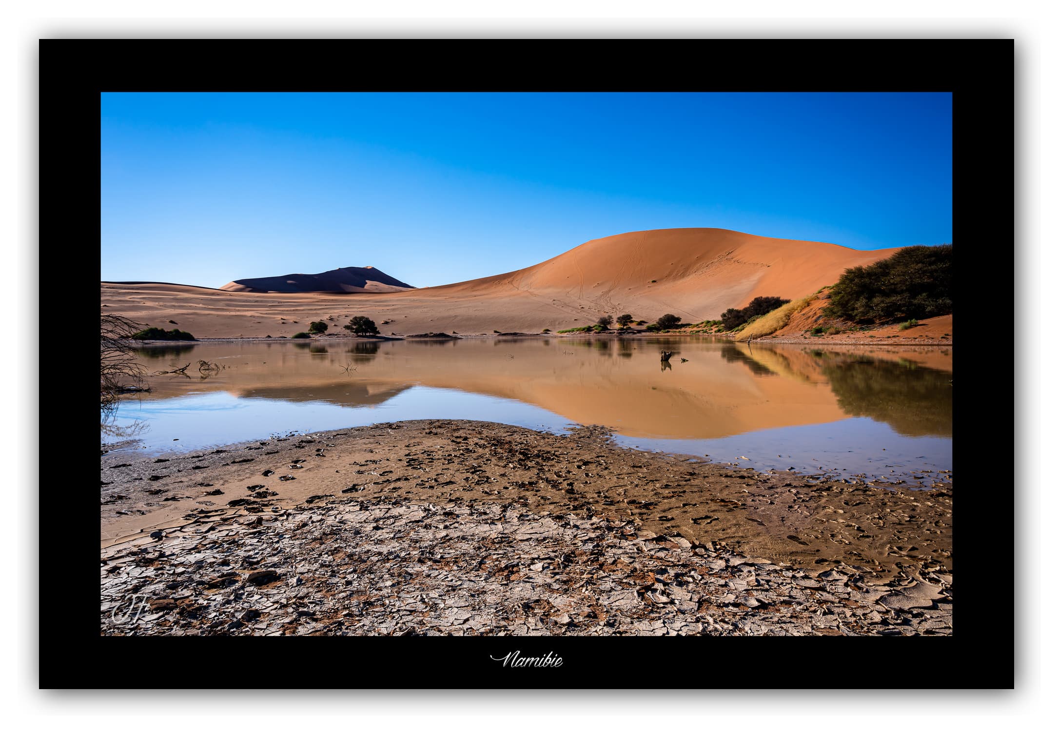 Poster Namibie (Afrique Australe). Affiches Formats 30x40 cm, 40x60 cm ou 50x70 cm. Impression sur Papier Photo. Décoration murale. Paysage. Désert.
