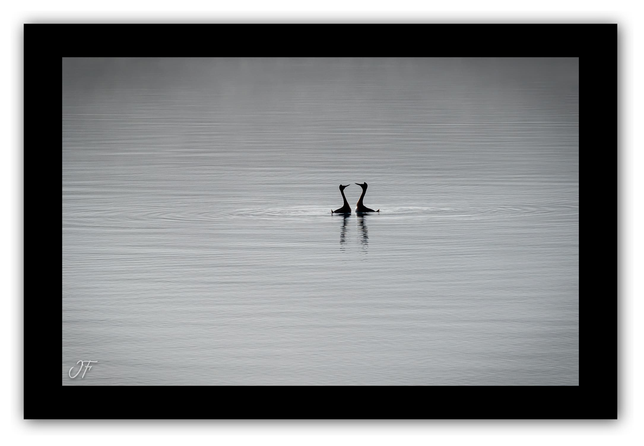 Poster Lago Grey (Chili). Affiches Formats 30x40 cm, 40x60 cm ou 50x70 cm. Impression sur Papier Photo. Décoration murale. Nature. Paysage. Panorama. Montagne.
