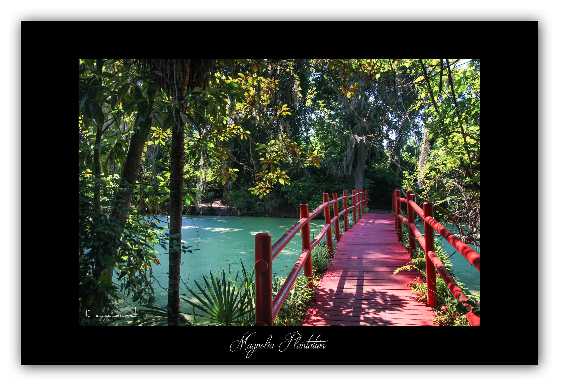 Poster Magnolia Plantation (Caroline du Sud- États-Unis). Affiches Formats 30x40 cm, 40x60 cm ou 50x70 cm. Impression sur Papier Photo. Décoration murale. Paysage. USA.