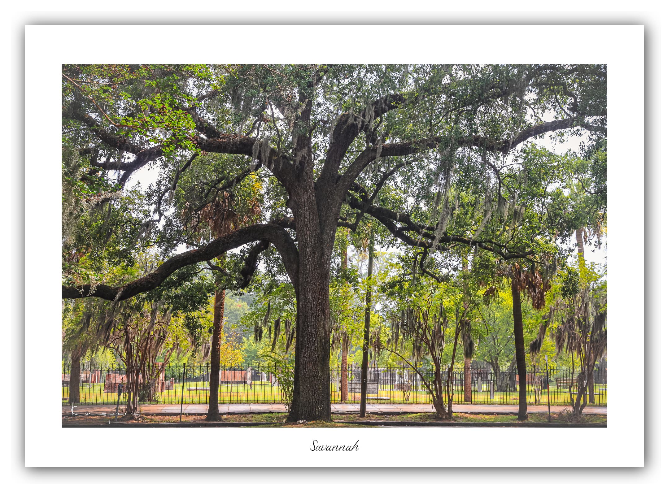 Poster Savannah (Georgie - États-Unis). Affiches Formats 30x40 cm, 40x60 cm ou 50x70 cm. Impression sur Papier Photo. Décoration murale. Architecture. USA.