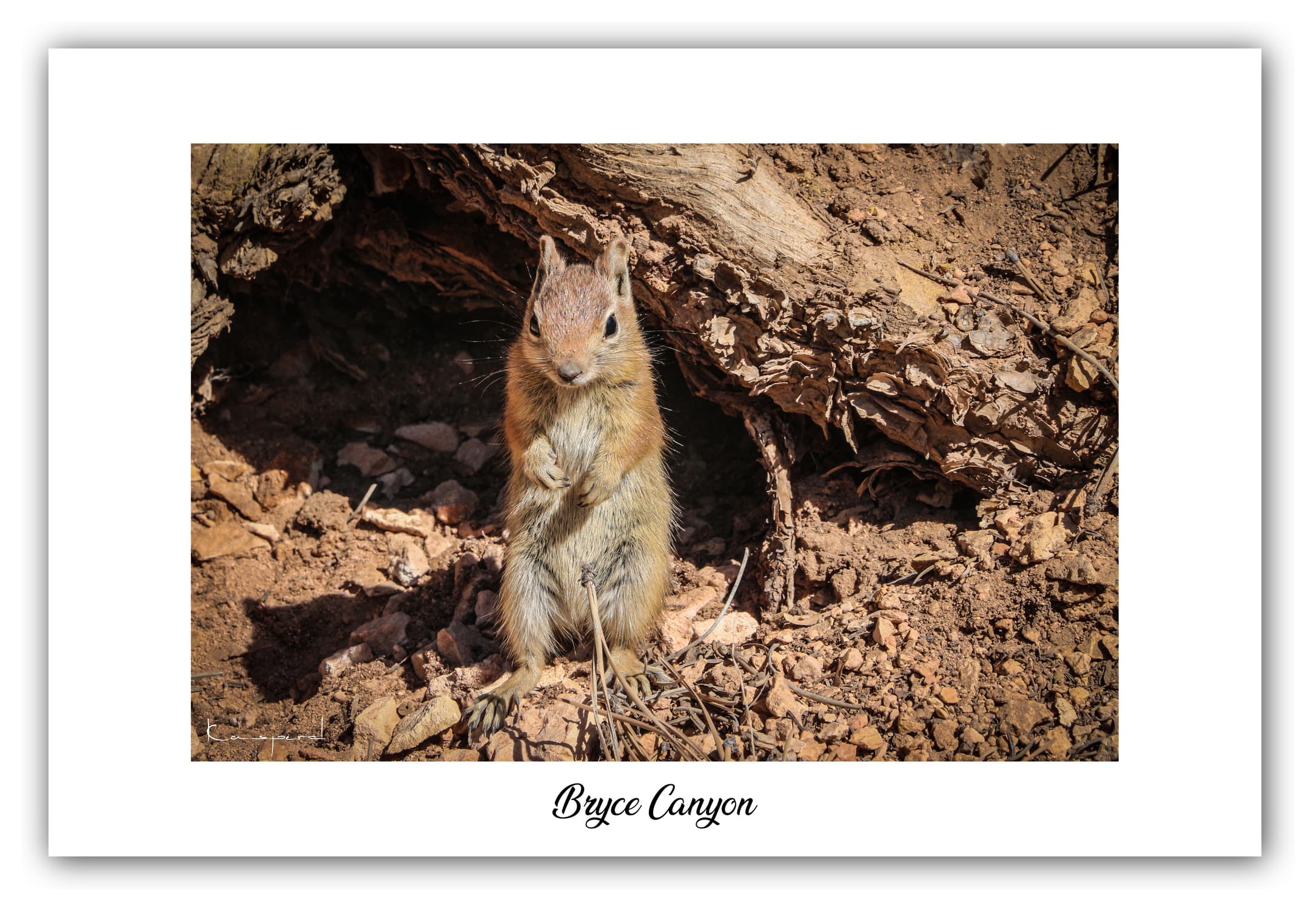 Poster Bryce Canyon - Utah (États-Unis). Affiches Formats 30x40 cm, 40x60 cm ou 50x70 cm. Impression sur Papier Photo. Décoration murale. Paysage. Ouest Américain.