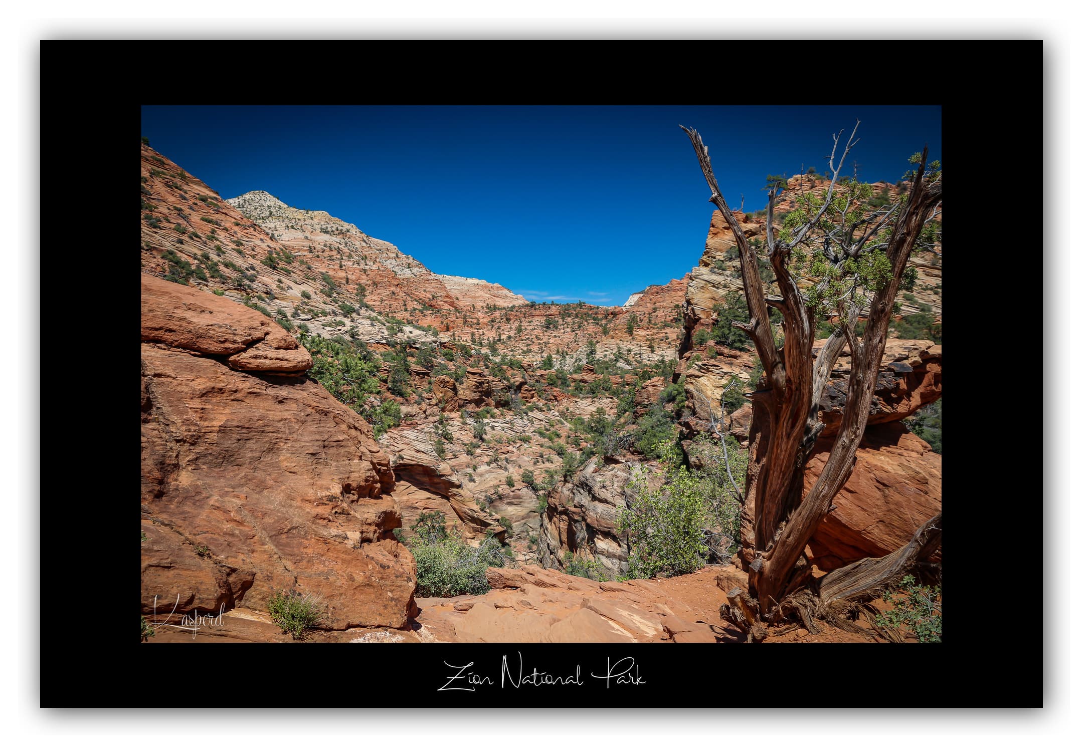 Poster Zion National Park - Utah (États-Unis). Affiches Formats 30x40 cm, 40x60 cm ou 50x70 cm. Impression sur Papier Photo. Décoration murale. Paysage. Ouest Américain.