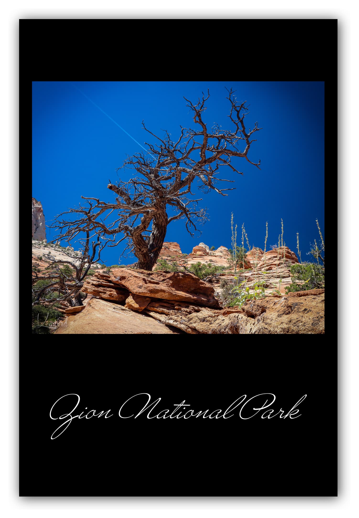 Poster Zion National Park - Utah (États-Unis). Affiches Formats 30x40 cm, 40x60 cm ou 50x70 cm. Impression sur Papier Photo. Décoration murale. Paysage. Ouest Américain.