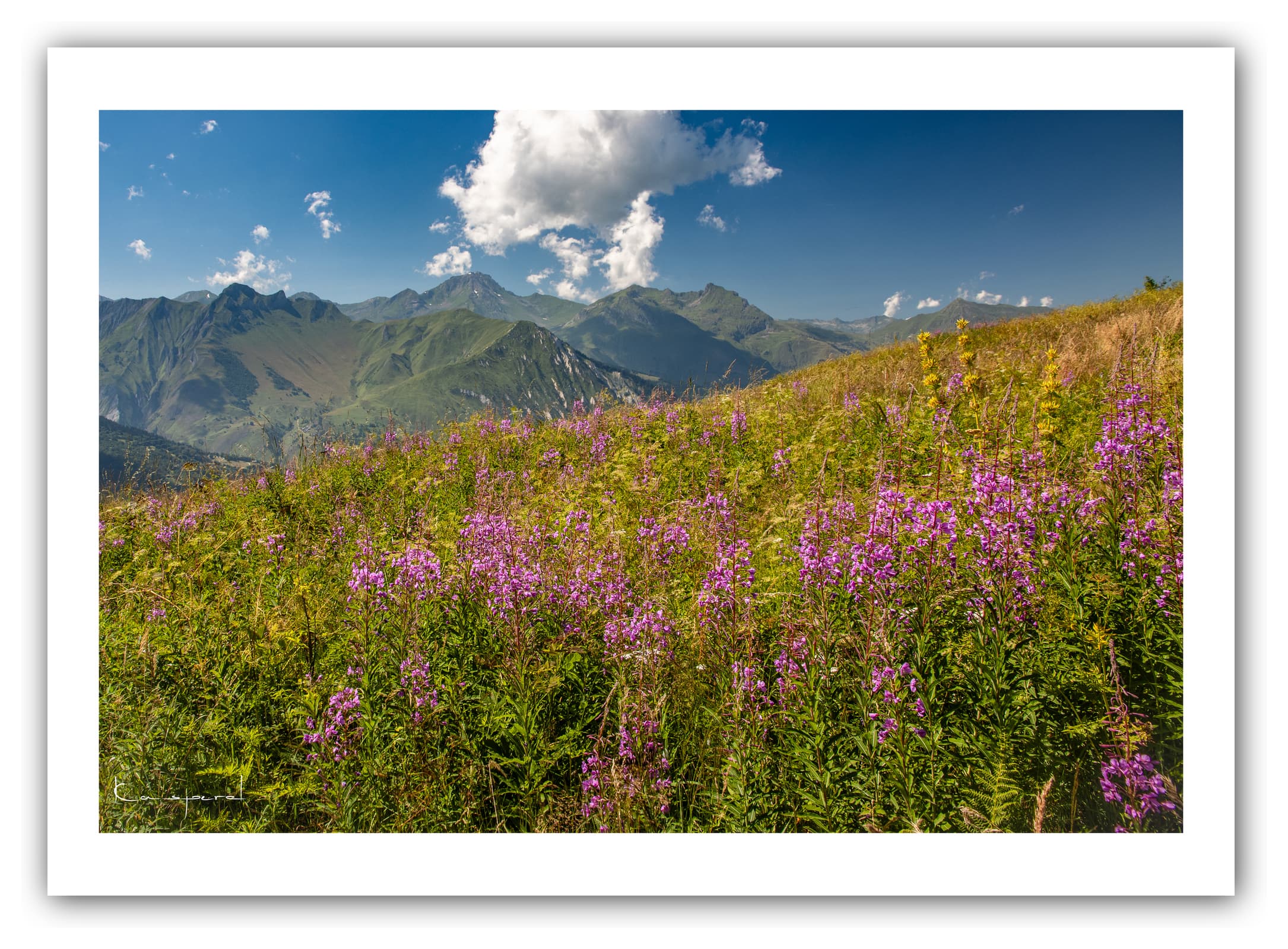 Générique Poster Prairie dans les Alpes (Savoie). Affiches Formats 30x40cm, 40x60 cm ou 50x70 cm. Impression sur Papier Photo. Décoration murale. Paysage. Montagne.