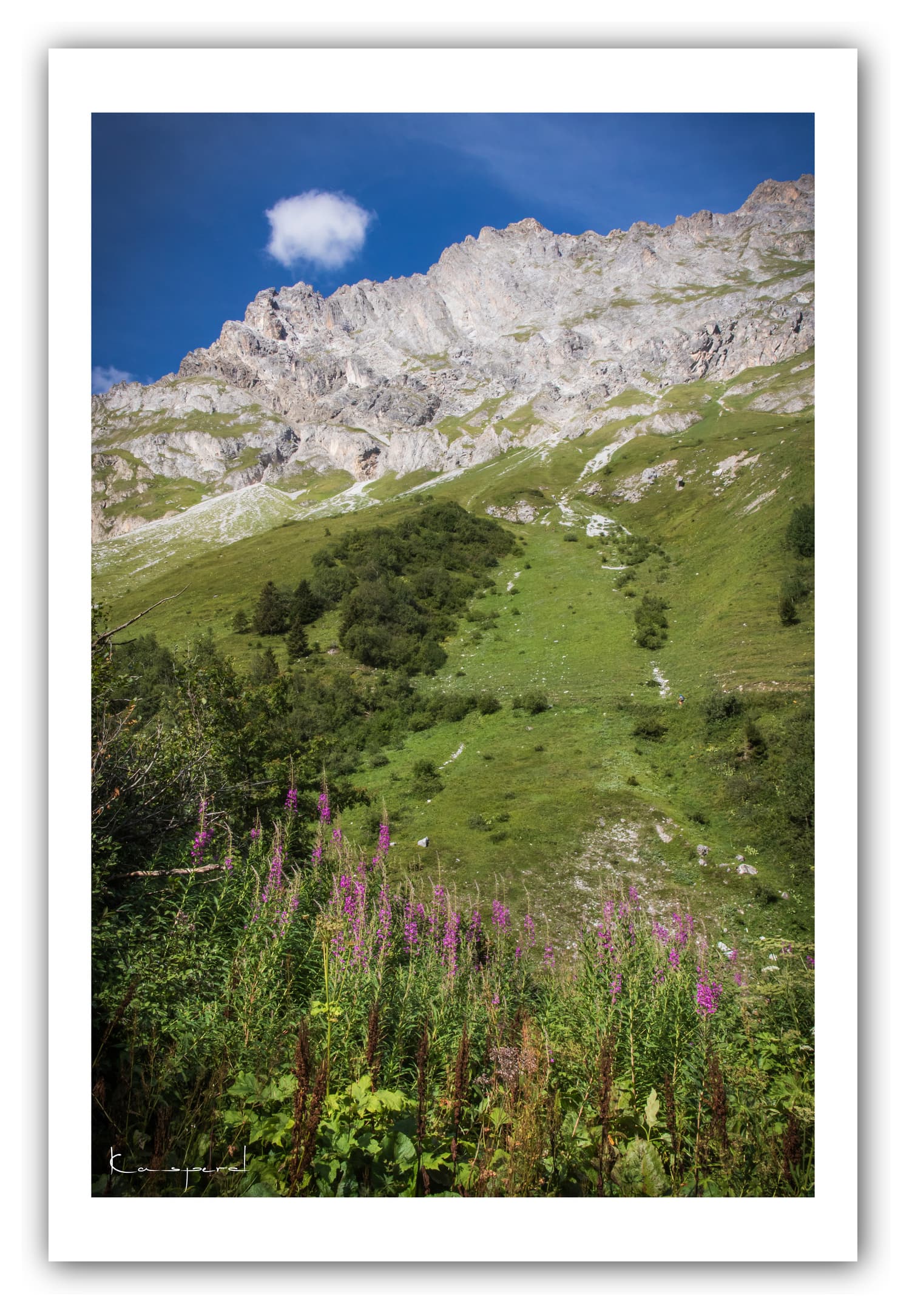 Poster Alpage de Montaimont - Savoie (Les Alpes - France). Affiches Formats 30x40 cm, 40x60 cm ou 50x70 cm. Impression sur Papier Photo. Décoration murale. Paysage montagne. Eté.
