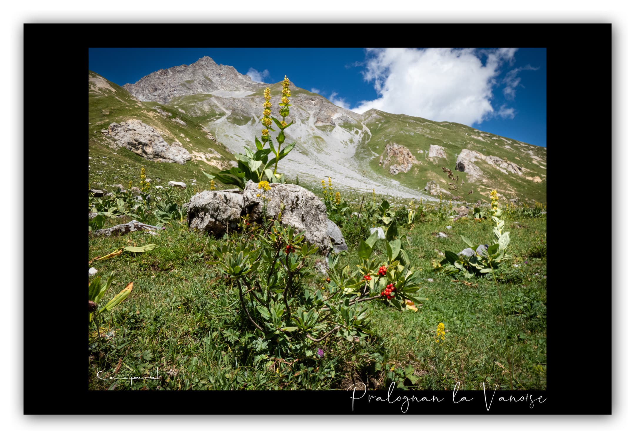 Poster Alpage de Montaimont - Savoie (Les Alpes - France). Affiches Formats 30x40 cm, 40x60 cm ou 50x70 cm. Impression sur Papier Photo. Décoration murale. Paysage montagne. Eté.