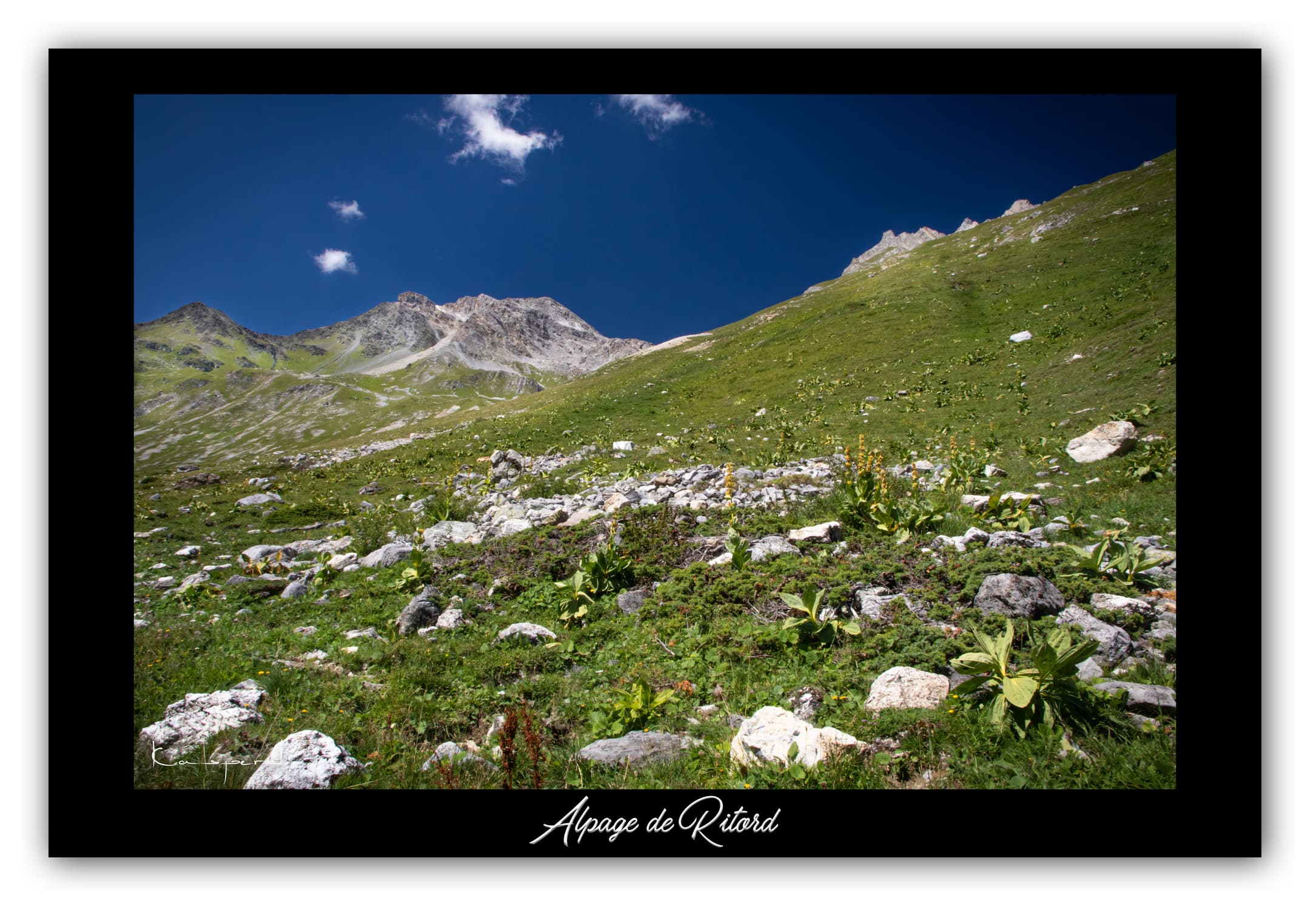 Poster Alpage du Ritord - Savoie (Les Alpes - France). Affiches Formats 30x40 cm, 40x60 cm ou 50x70 cm. Impression sur Papier Photo. Décoration murale. Paysage montagne. Eté.