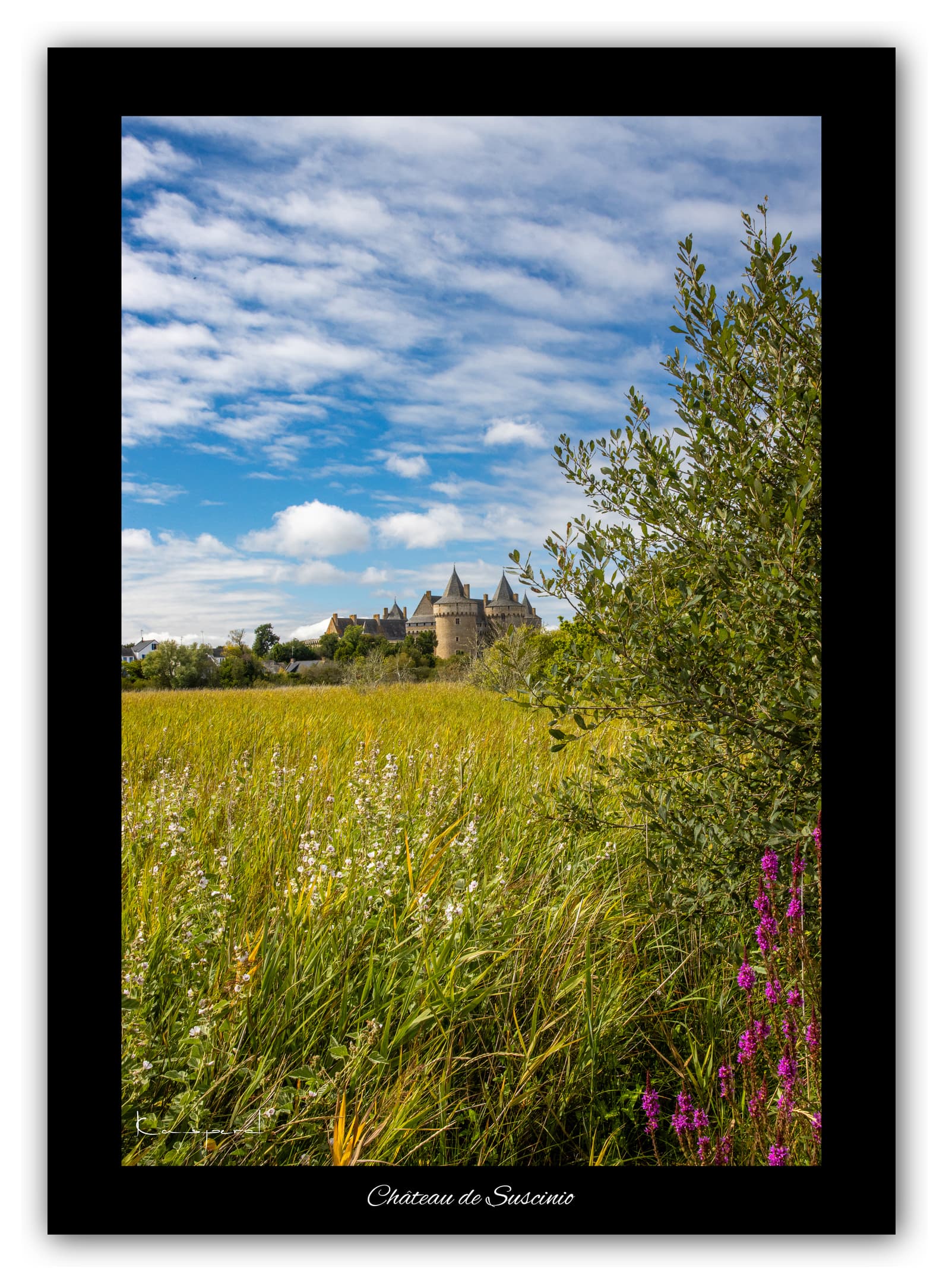 Poster Château de Suscinio (Bretagne - France). Affiches Formats 30x40cm, 40x60 cm ou 50x70 cm. Impression sur Papier Photo. Décoration murale. Paysage. Panorama.