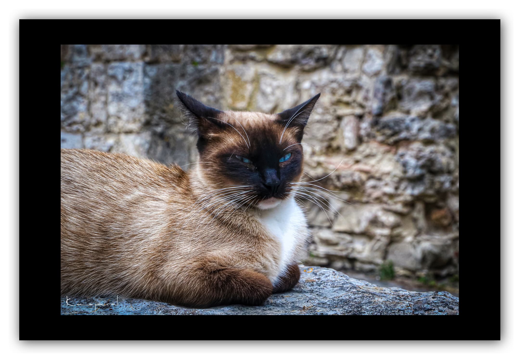 Poster Chat - Lot (France). Affiches Formats 30x40 cm, 40x60 cm ou 50x70 cm. Impression sur Papier Photo. Décoration murale. Paysage. Architecture.