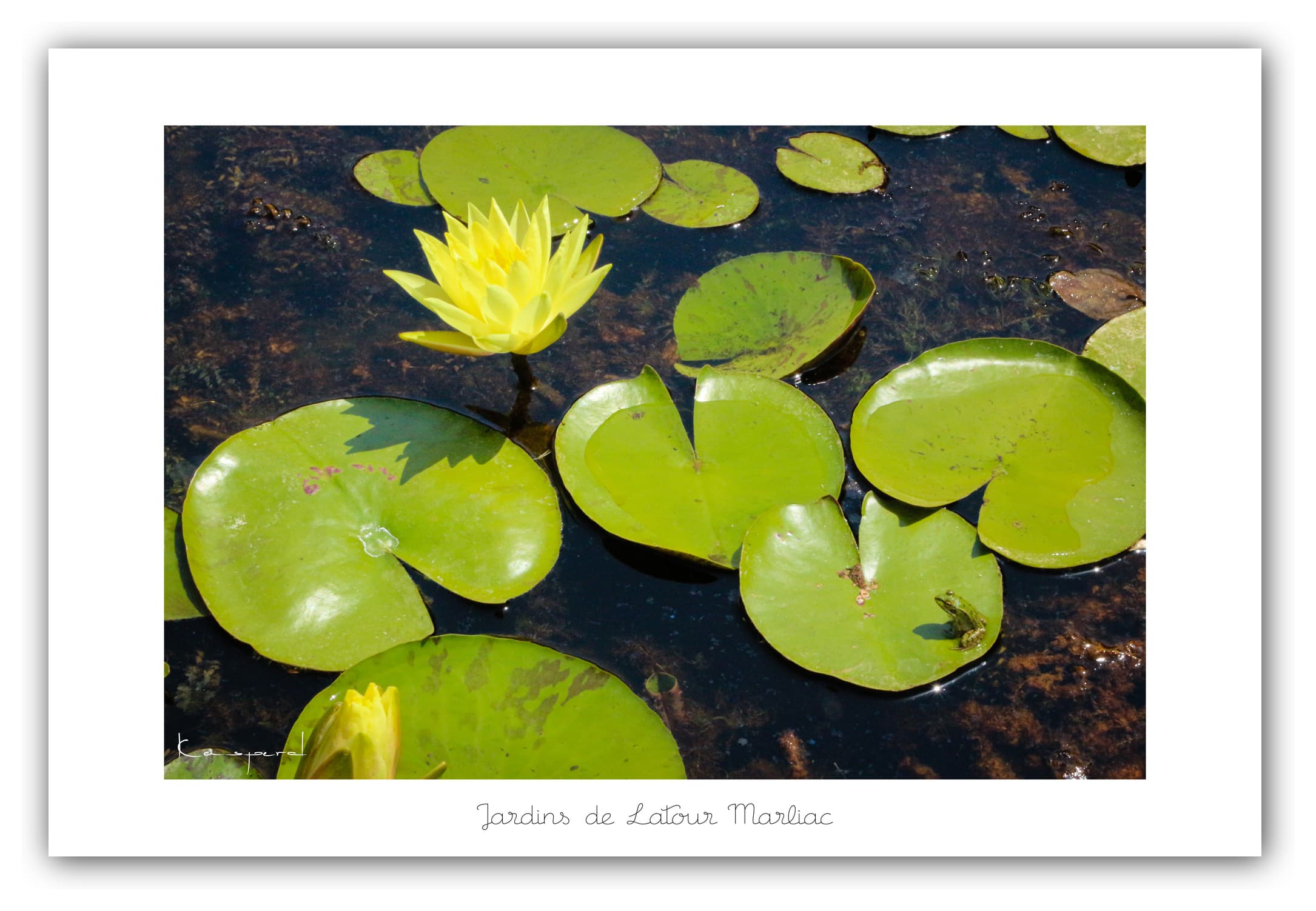 Poster Jardins de Latour Marliac - Lot (France). Affiches Formats 30x40 cm, 40x60 cm ou 50x70 cm. Impression sur Papier Photo. Décoration murale. Paysage. Architecture.