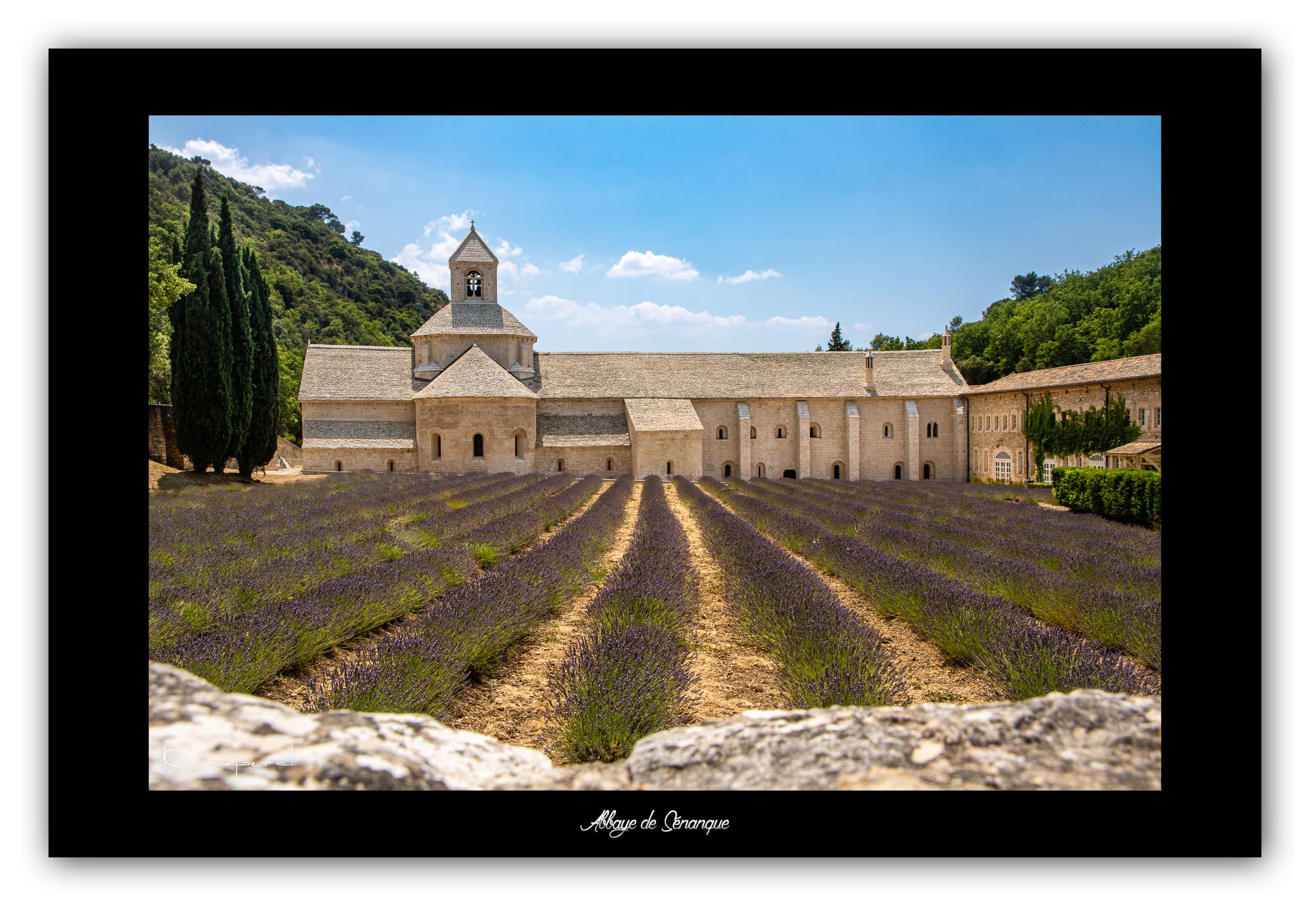 Poster Abbaye de Sénanque (Vaucluse - France). Affiches Formats 30x40 cm, 40x60 cm, 50x70 cm. Impression sur Papier Photo. Décoration murale. Eglise. Architecture.