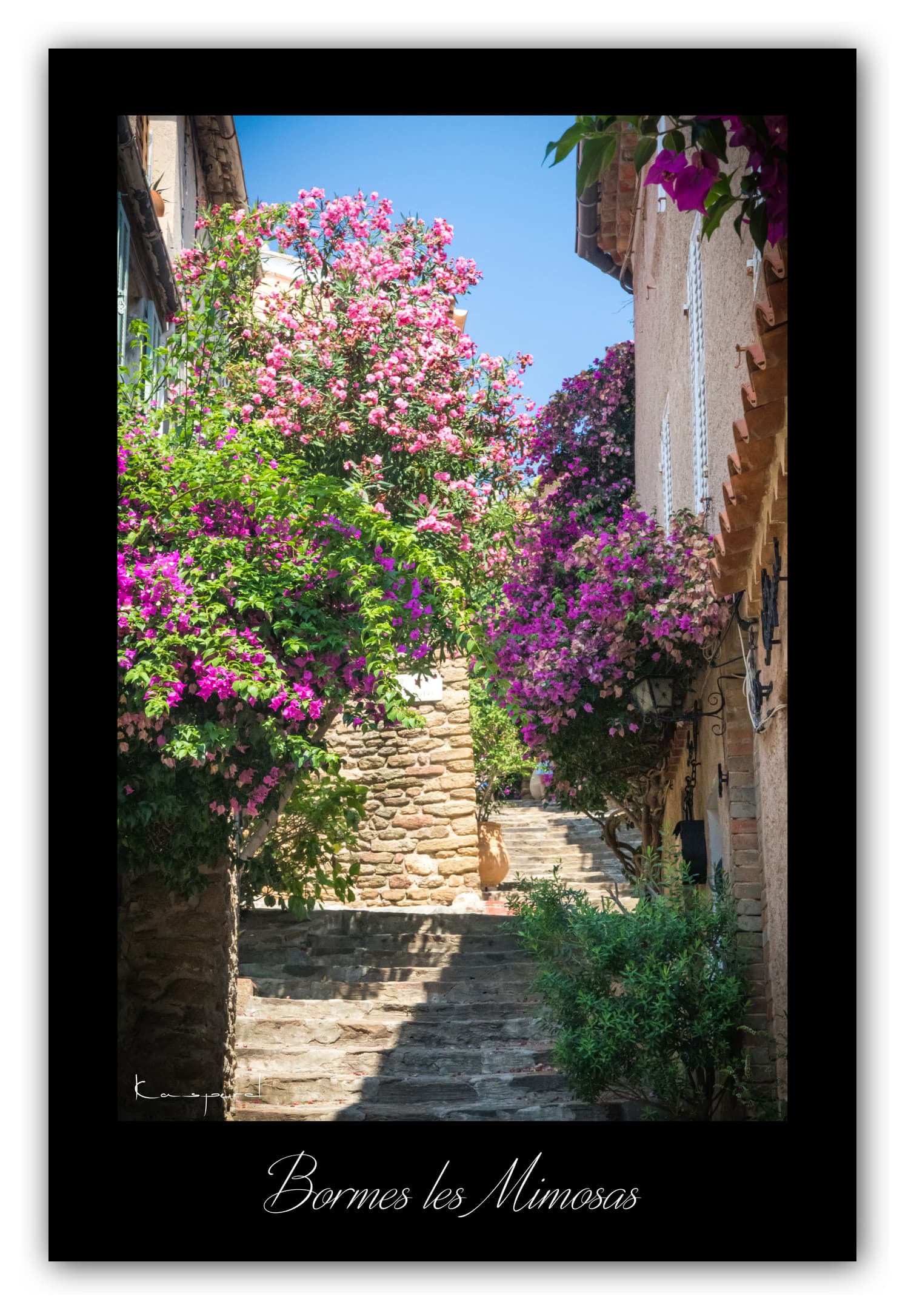 Poster Bormes les Mimosas - Var (France). Affiches Formats 30x40 cm, 40x60 cm ou 50x70 cm. Impression sur Papier Photo. Décoration murale. Nature. Architecture.