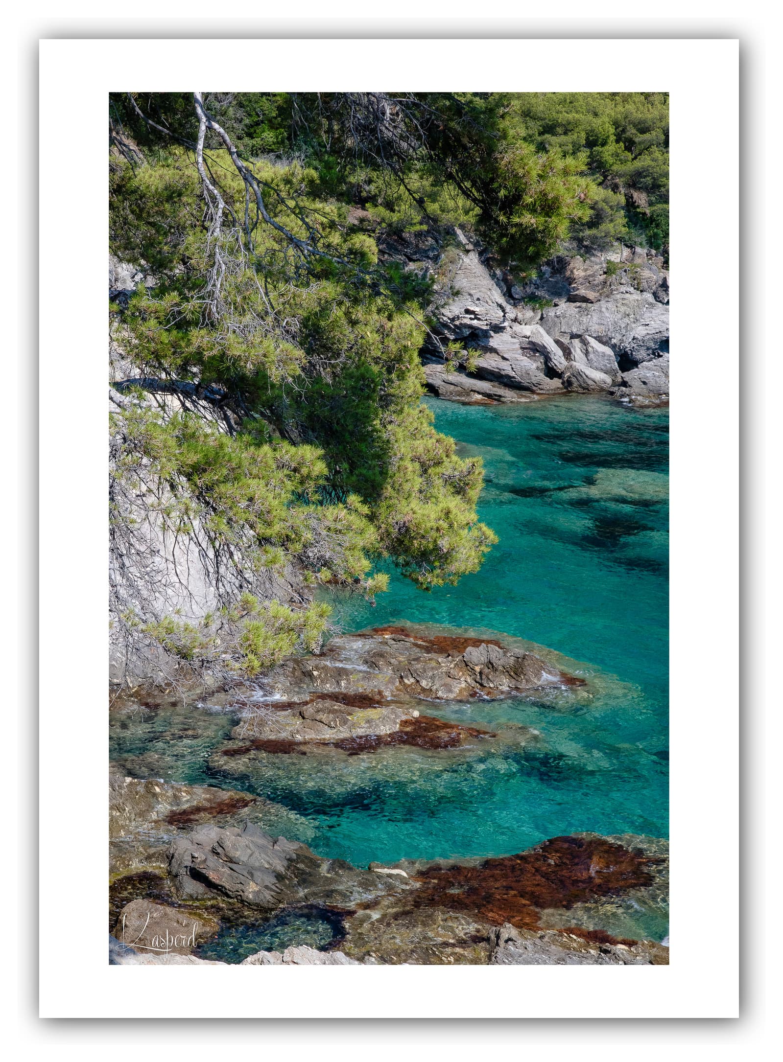 Poster Domaine de Rayol (Var - France). Affiches Formats 30x40 cm, 40x60 cm ou 50x70 cm. Impression sur Papier Photo. Décoration murale. Paysage. Pop Color.