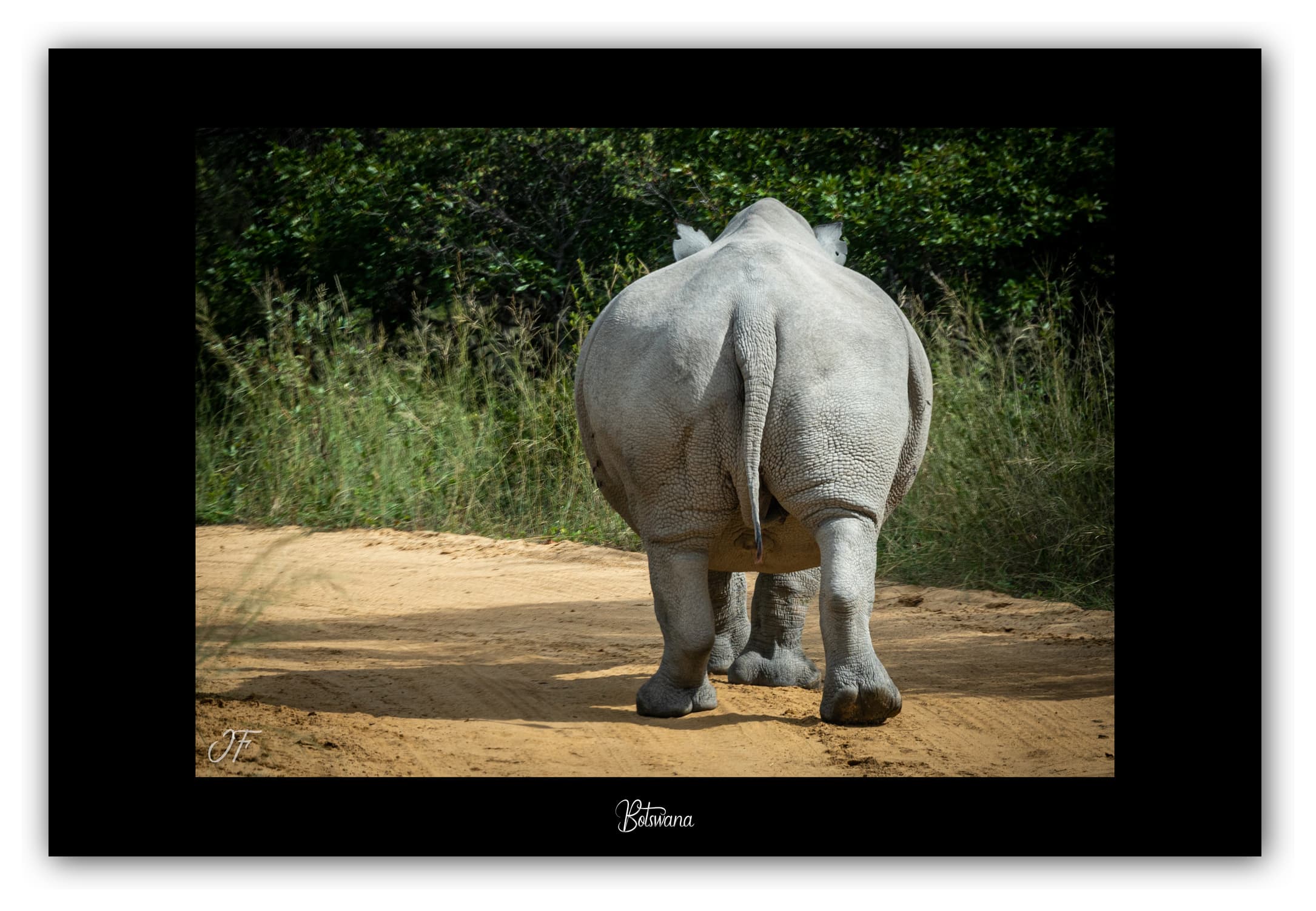 Poster Rhinocéros - Botswana (Afrique Australe). Affiches Formats 30x40 cm, 40x60 cm ou 50x70 cm. Impression sur Papier Photo. Décoration murale. Paysage. Faune. Animaux sauvages.