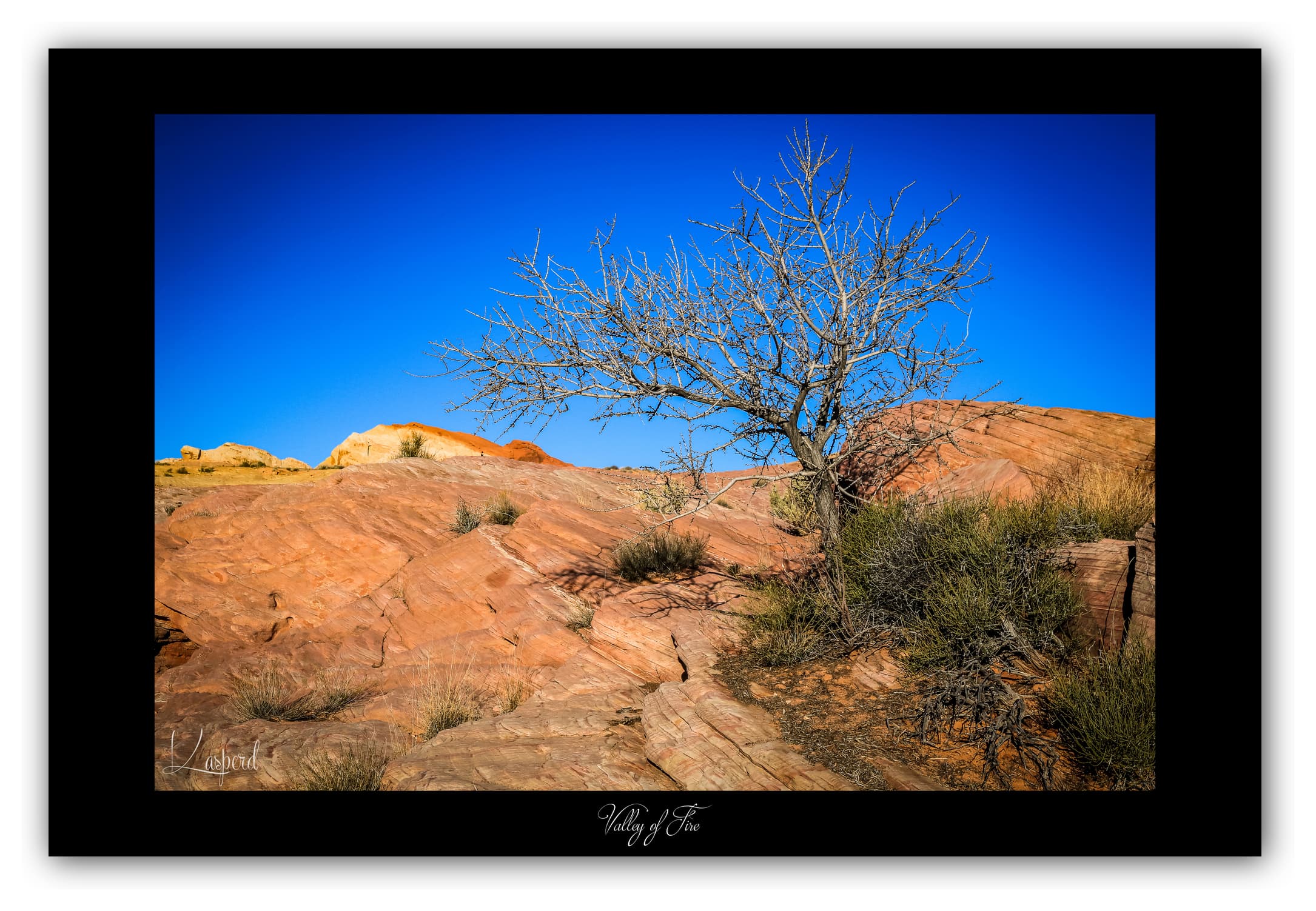 Poster Valley of Fire - Nevada (États-Unis). Affiches Formats 30x40 cm, 40x60 cm ou 50x70 cm. Impression sur Papier Photo. Décoration murale. Paysage. Ouest Américain.