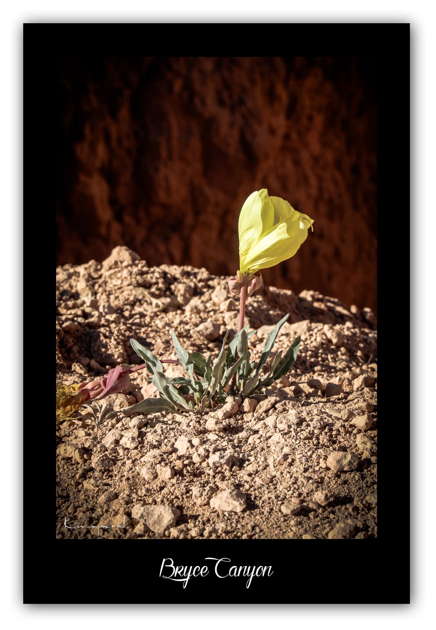 Poster Bryce Canyon - Utah (États-Unis). Affiches Formats 30x40 cm, 40x60 cm ou 50x70 cm. Impression sur Papier Photo. Décoration murale. Paysage. Ouest Américain.