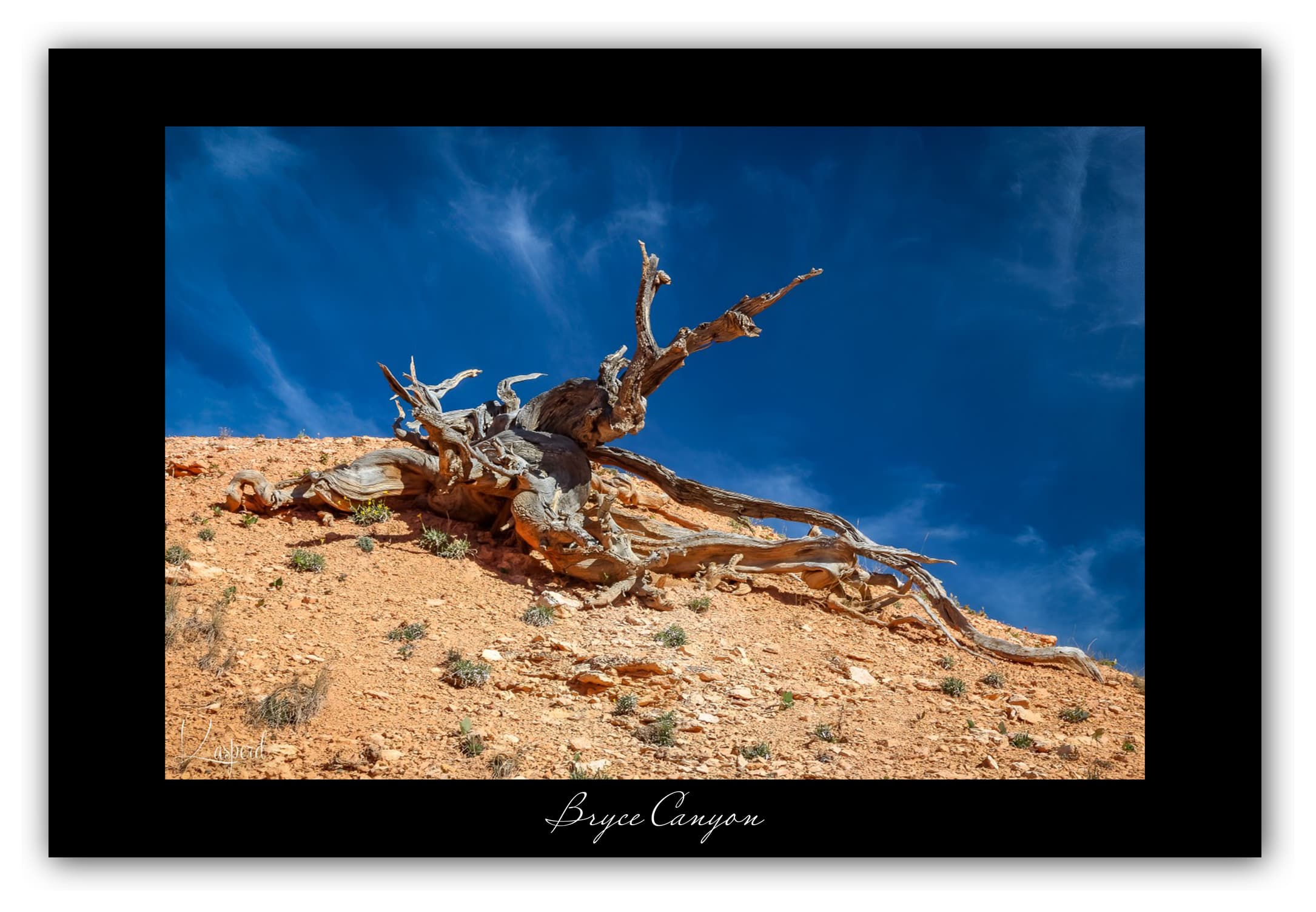 Poster Bryce Canyon - Utah (États-Unis). Affiches Formats 30x40 cm, 40x60 cm ou 50x70 cm. Impression sur Papier Photo. Décoration murale. Paysage. Ouest Américain.