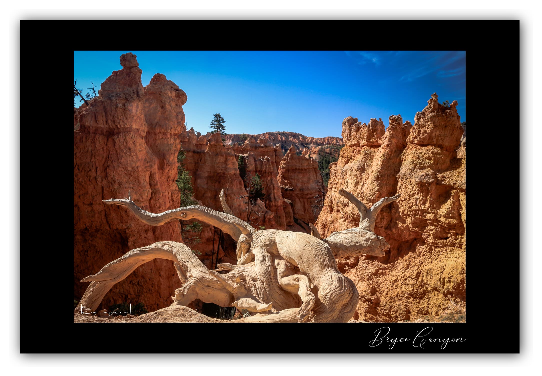 Poster Bryce Canyon - Utah (États-Unis). Affiches Formats 30x40 cm, 40x60 cm ou 50x70 cm. Impression sur Papier Photo. Décoration murale. Paysage. Ouest Américain.