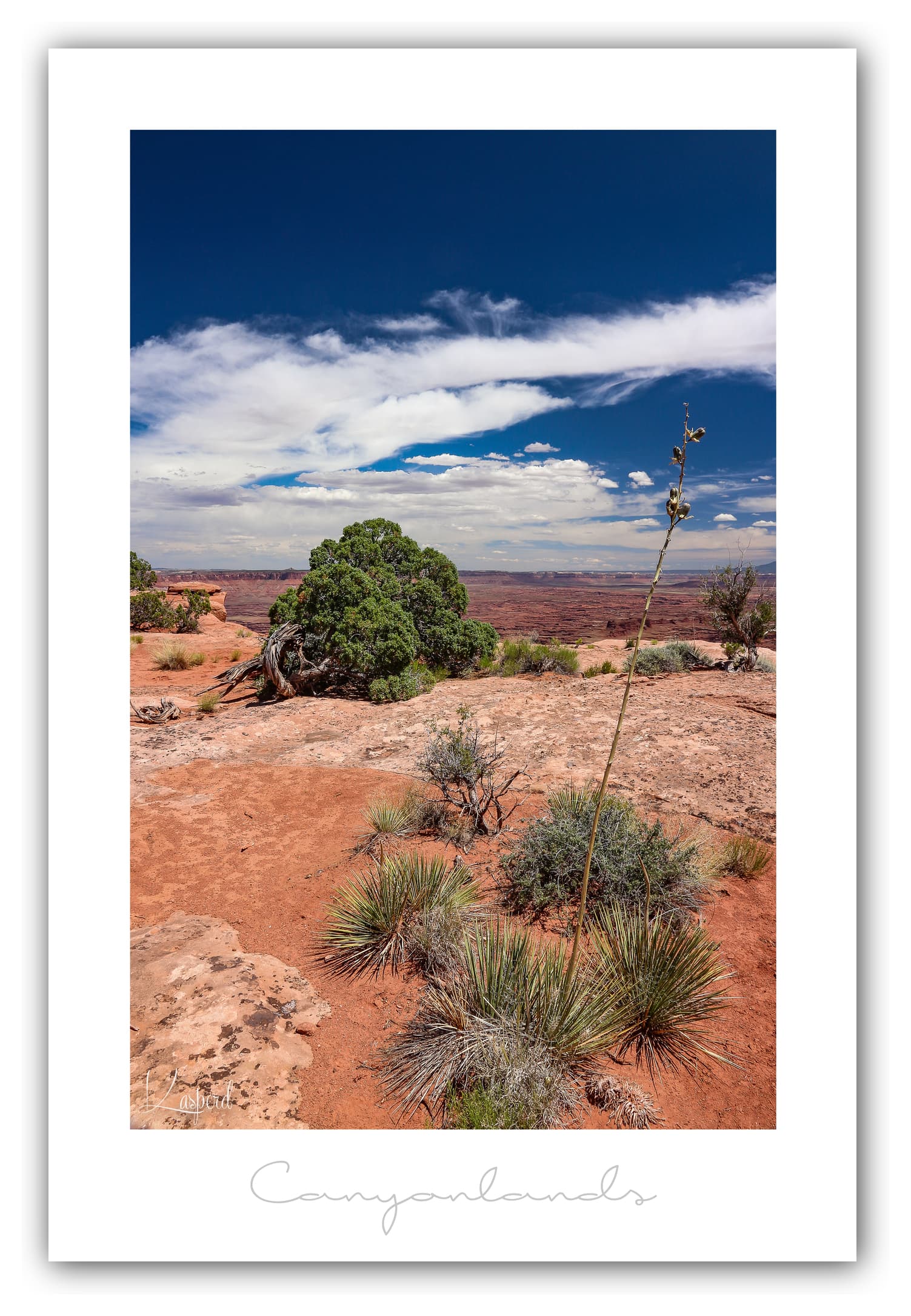 Générique Poster Canyonlands National Park - Utah (Etats-Unis). Affiches Formats 30x40 cm, 40x60 cm ou 50x70 cm. Impression sur Papier Photo. Décoration murale. Paysage. Ouest Américain.
