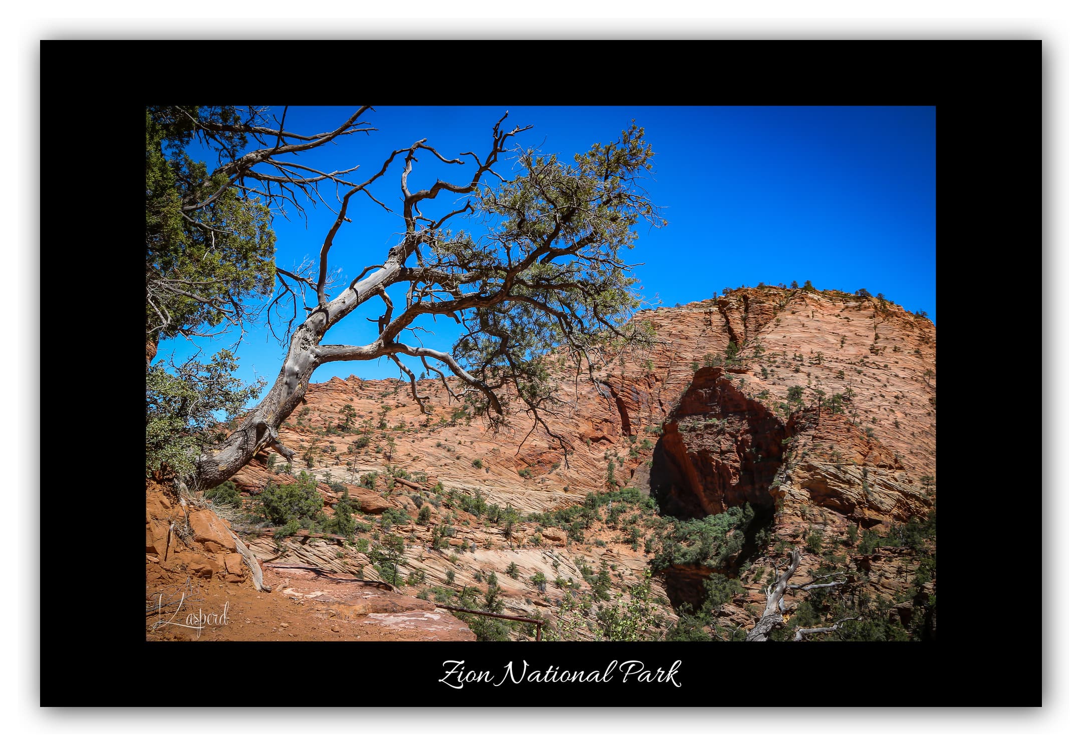 Poster Zion National Park - Utah (États-Unis). Affiches Formats 30x40 cm, 40x60 cm ou 50x70 cm. Impression sur Papier Photo. Décoration murale. Paysage. Ouest Américain.