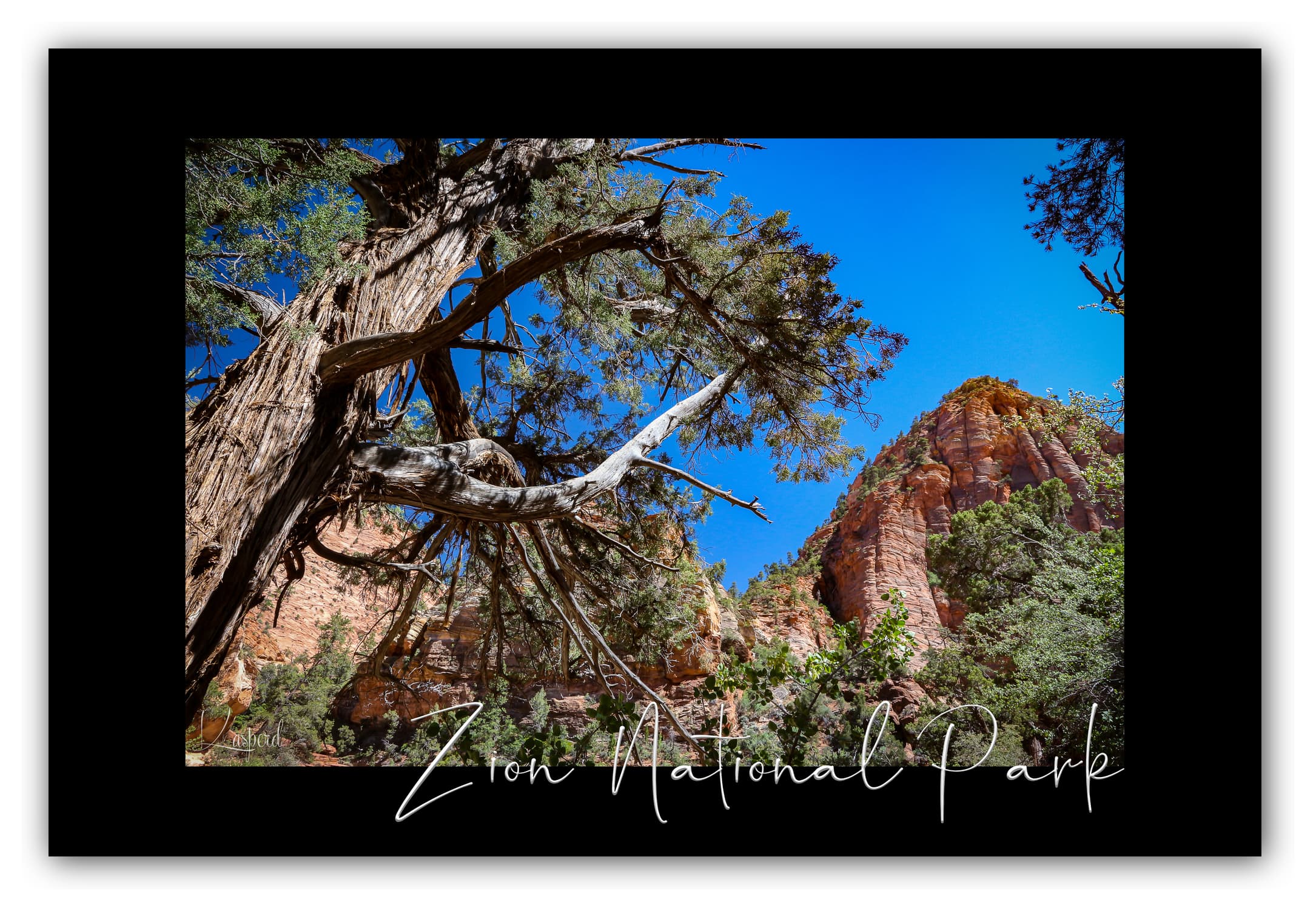 Poster Zion National Park - Utah (États-Unis). Affiches Formats 30x40 cm, 40x60 cm ou 50x70 cm. Impression sur Papier Photo. Décoration murale. Paysage. Ouest Américain.