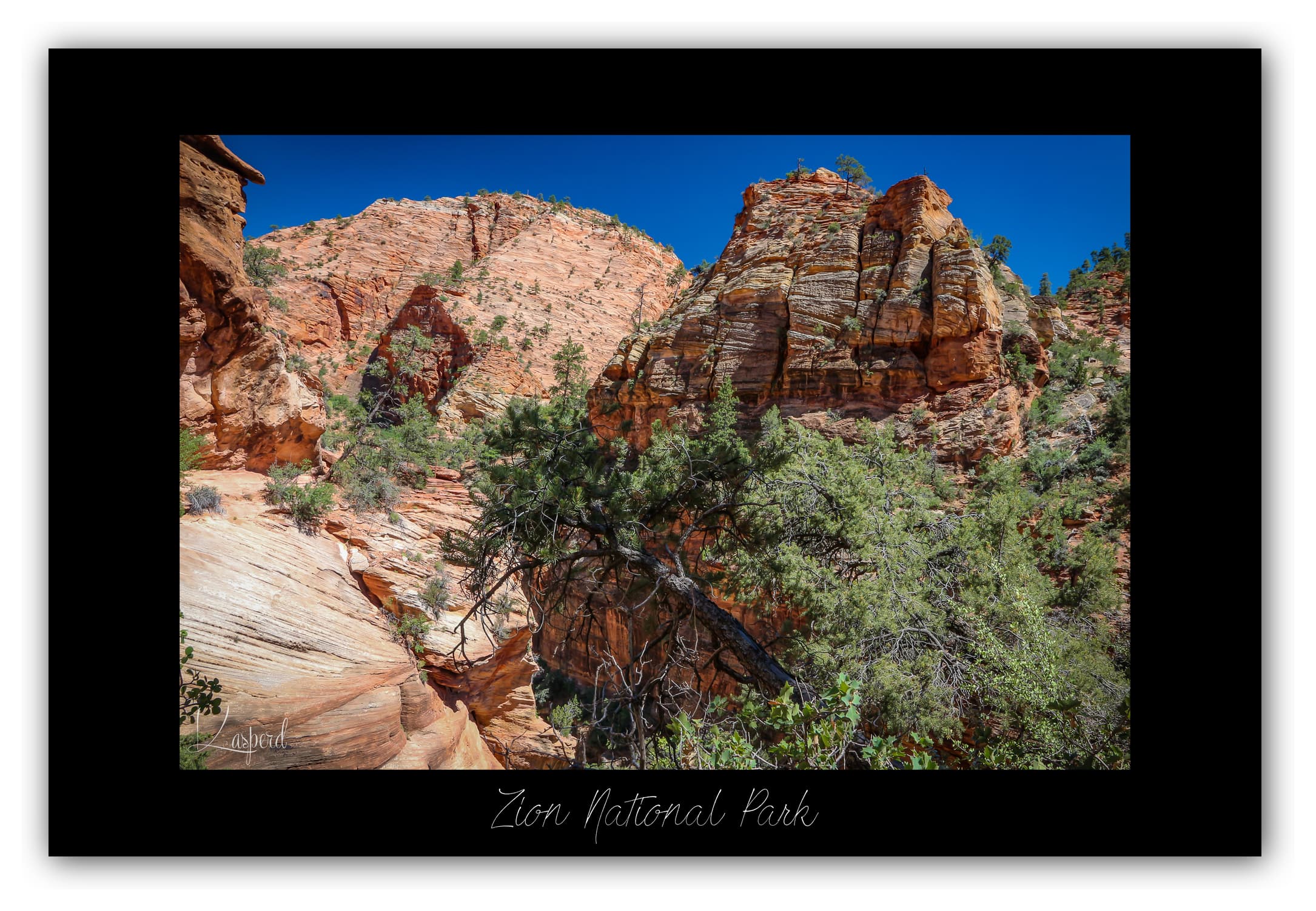 Poster Zion National Park - Utah (États-Unis). Affiches Formats 30x40 cm, 40x60 cm ou 50x70 cm. Impression sur Papier Photo. Décoration murale. Paysage. Ouest Américain.