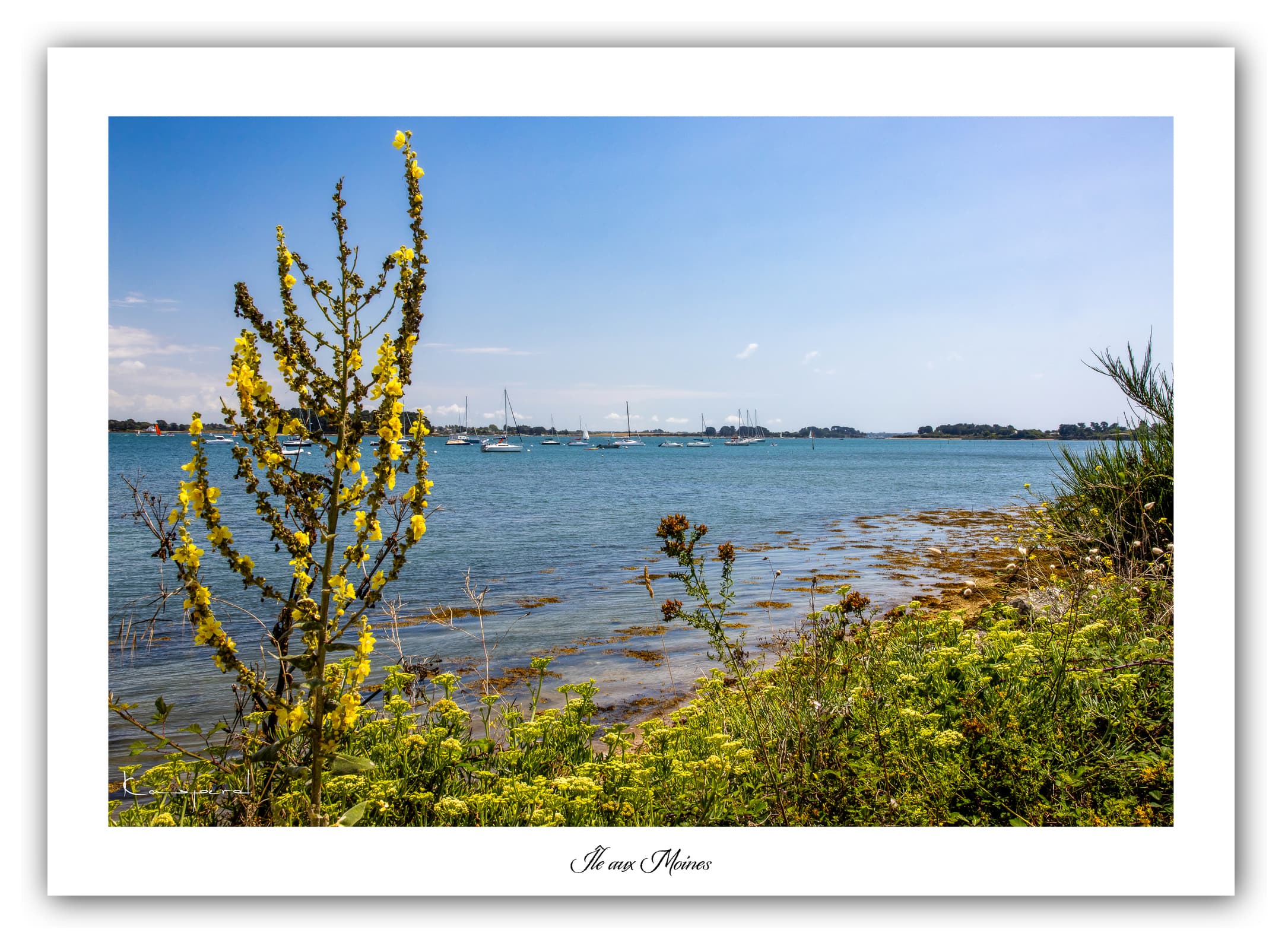 Poster Île aux Moines (Bretagne - France). Affiches Formats 30x40cm, 40x60 cm ou 50x70 cm. Impression sur Papier Photo. Décoration murale. Paysage. Panorama.