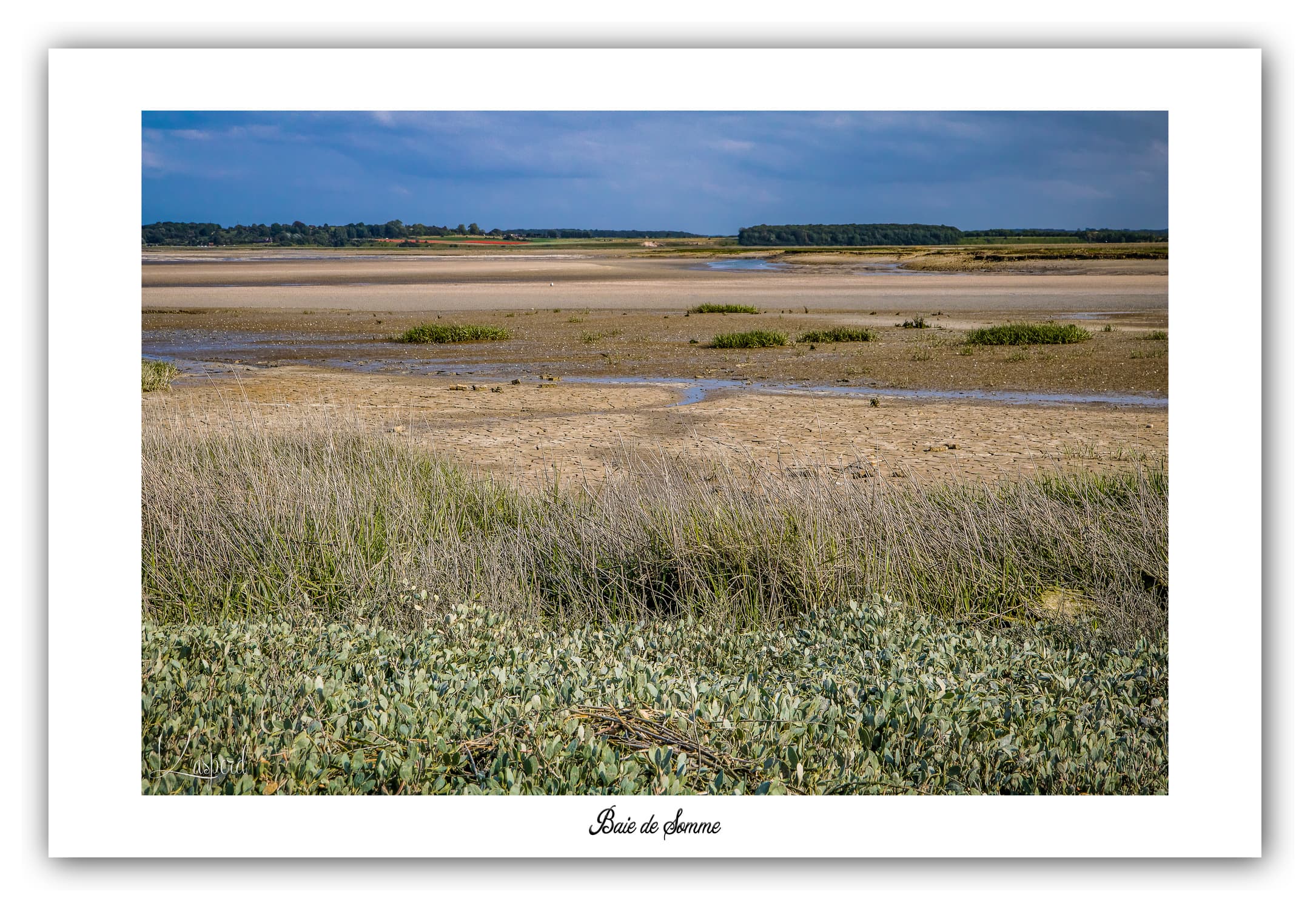 Poster Baie de Somme - Hauts de France (France). Affiches Formats 30x40 cm, 40x60 cm ou 50x70 cm. Impression sur Papier Photo. Décoration murale. Paysage. Mer.