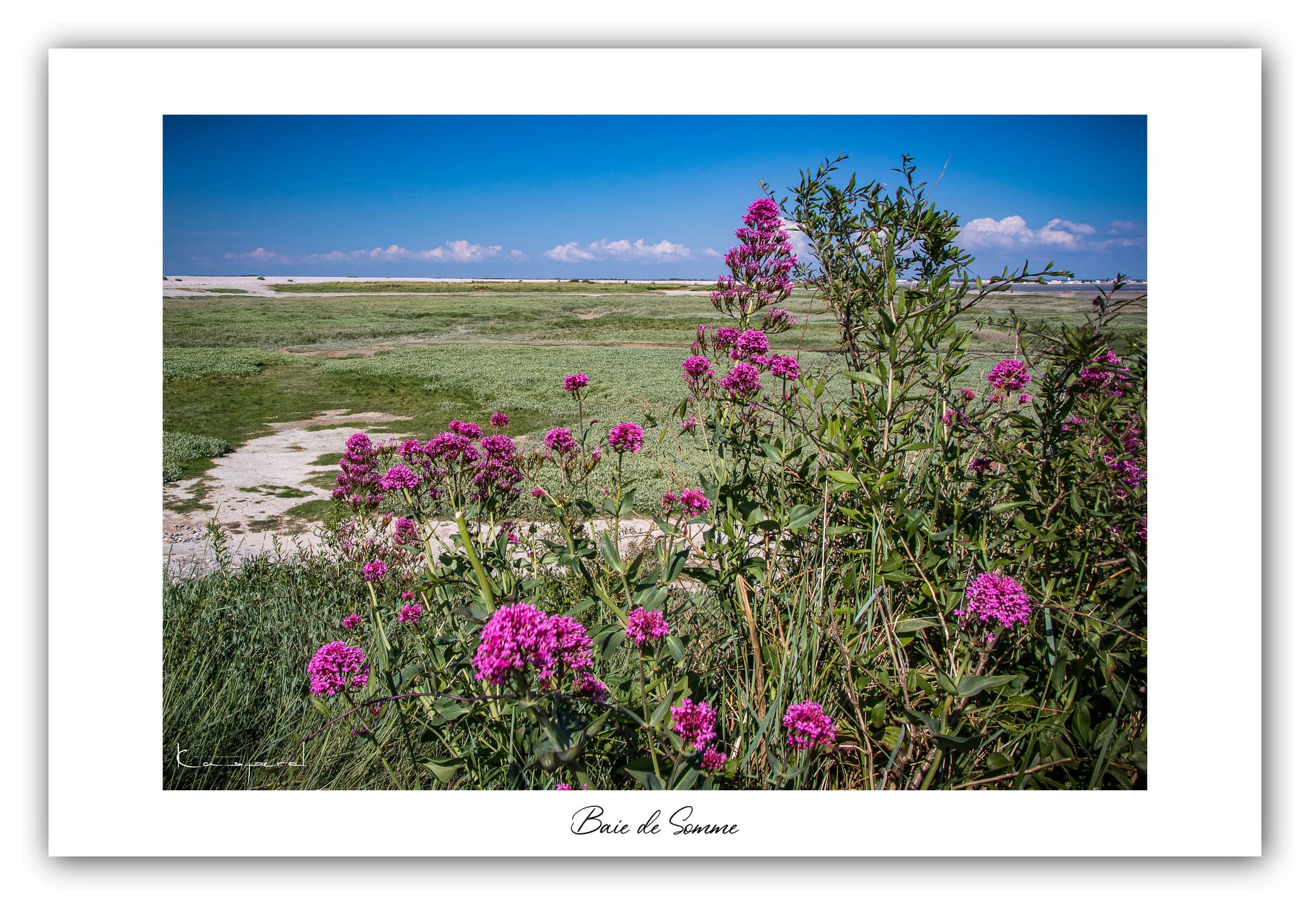 Poster Baie de Somme - Hauts de France (France). Affiches Formats 30x40 cm, 40x60 cm ou 50x70 cm. Impression sur Papier Photo. Décoration murale. Paysage. Mer.